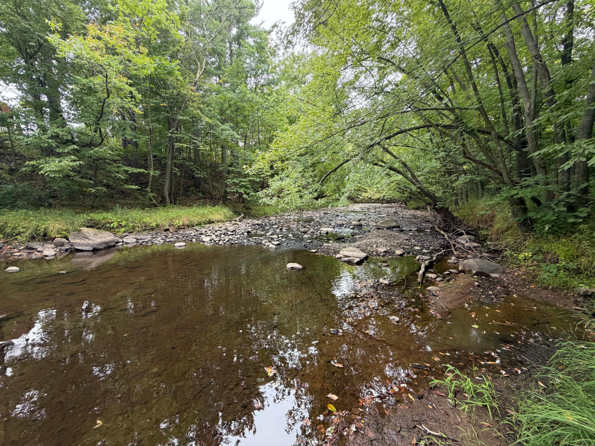 View of Land at XXX County Road 12, Princeton MN 55371, Princeton (29 of 67) - Mike Wilen | Minnesota Team Real Estate