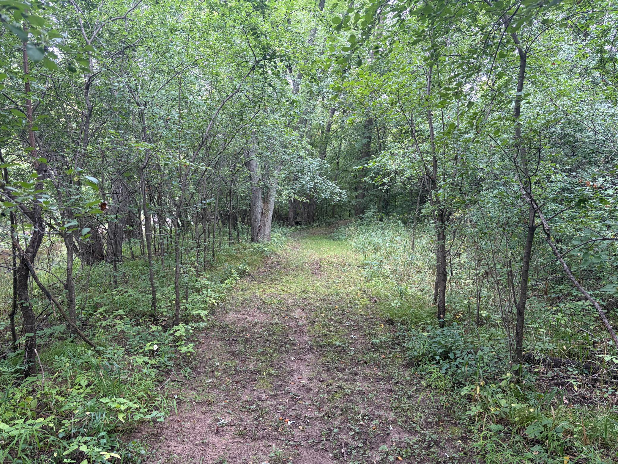 View of Land at XXX County Road 12, Princeton MN 55371, Princeton (43 of 67) - Mike Wilen | Minnesota Team Real Estate