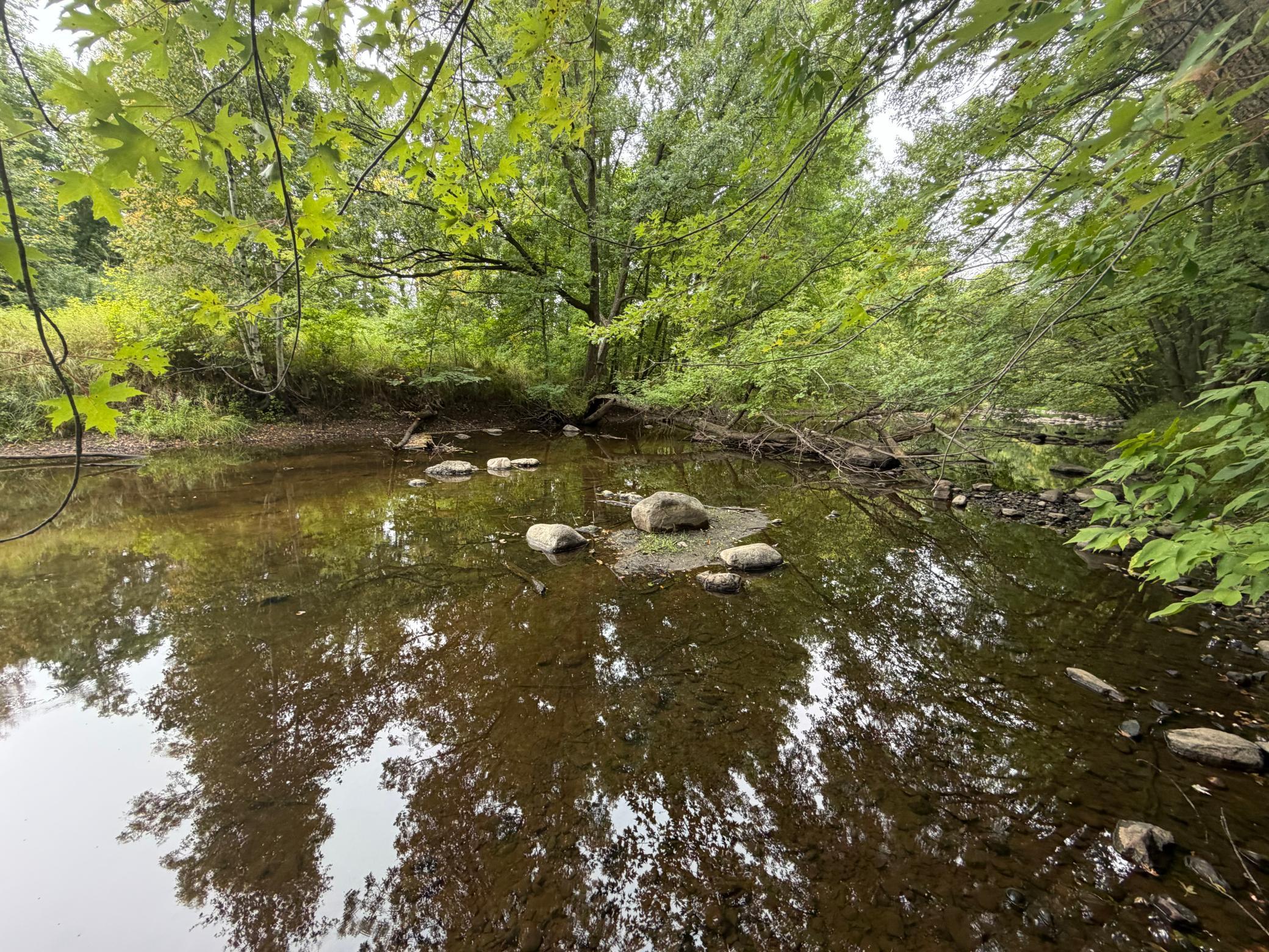 View of Land at XXX County Road 12, Princeton MN 55371, Princeton (23 of 67) - Mike Wilen | Minnesota Team Real Estate