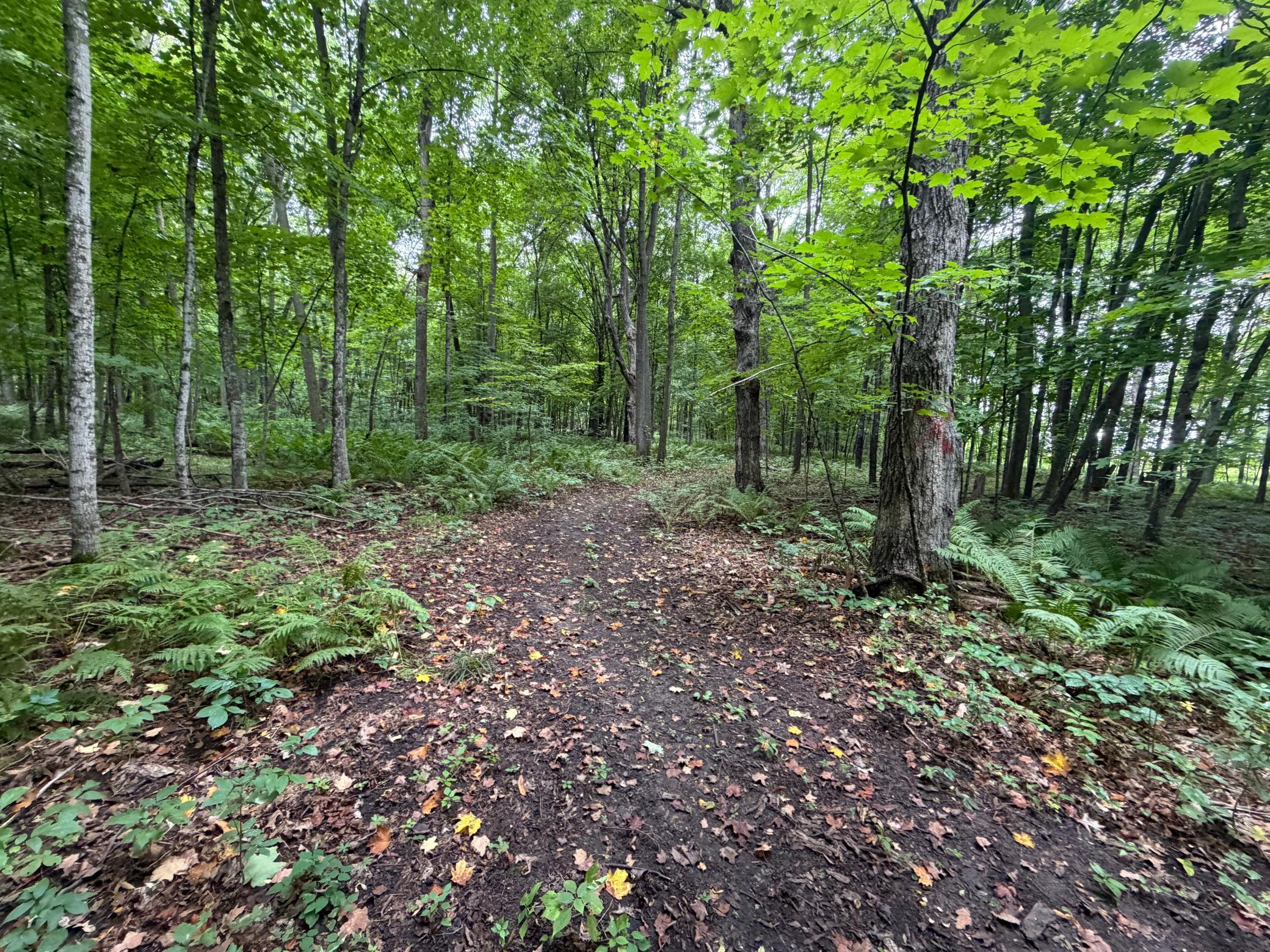 View of Land at XXX County Road 12, Princeton MN 55371, Princeton (41 of 67) - Mike Wilen | Minnesota Team Real Estate