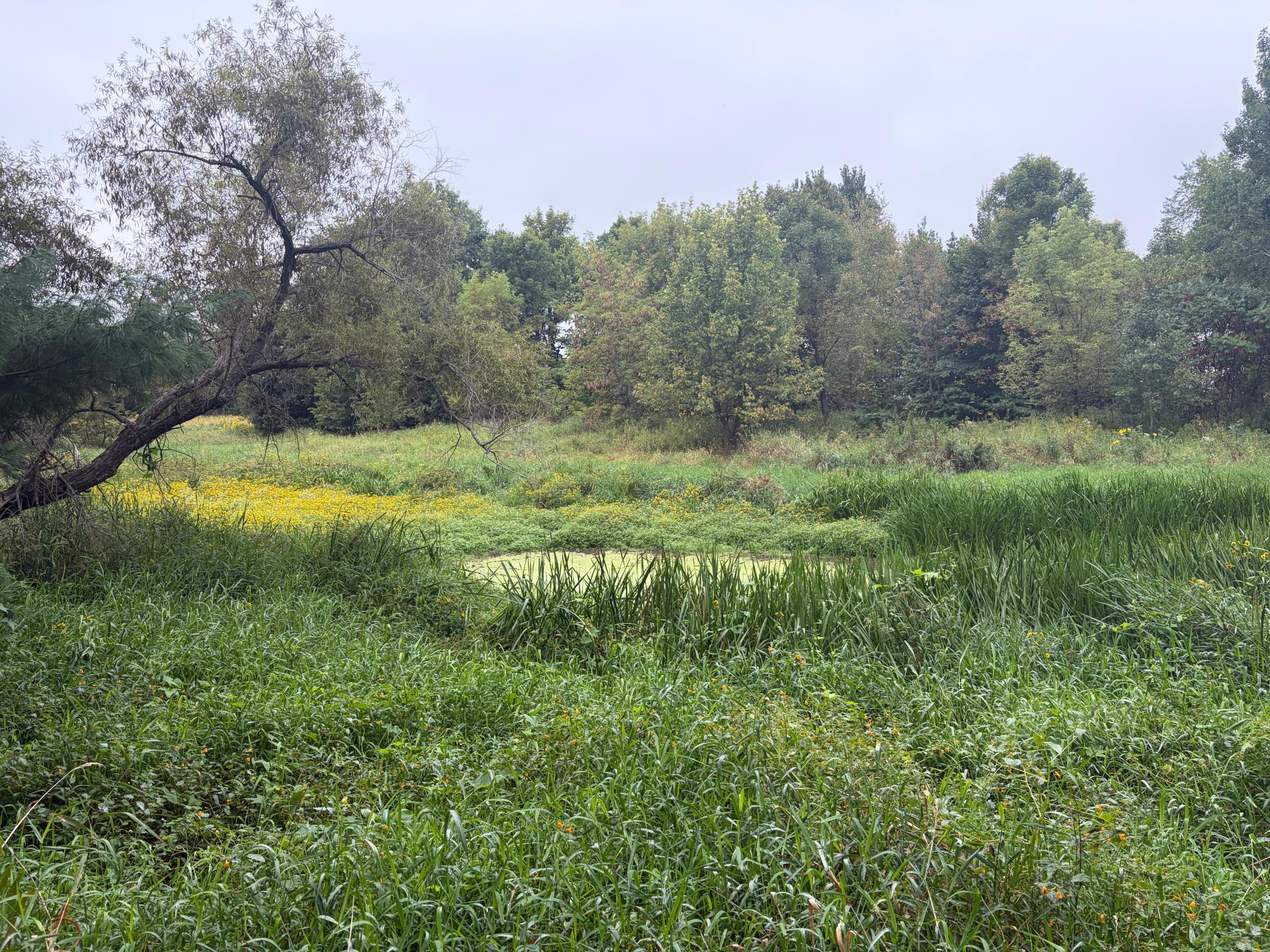 View of Land at XXX County Road 12, Princeton MN 55371, Princeton (51 of 67) - Mike Wilen | Minnesota Team Real Estate