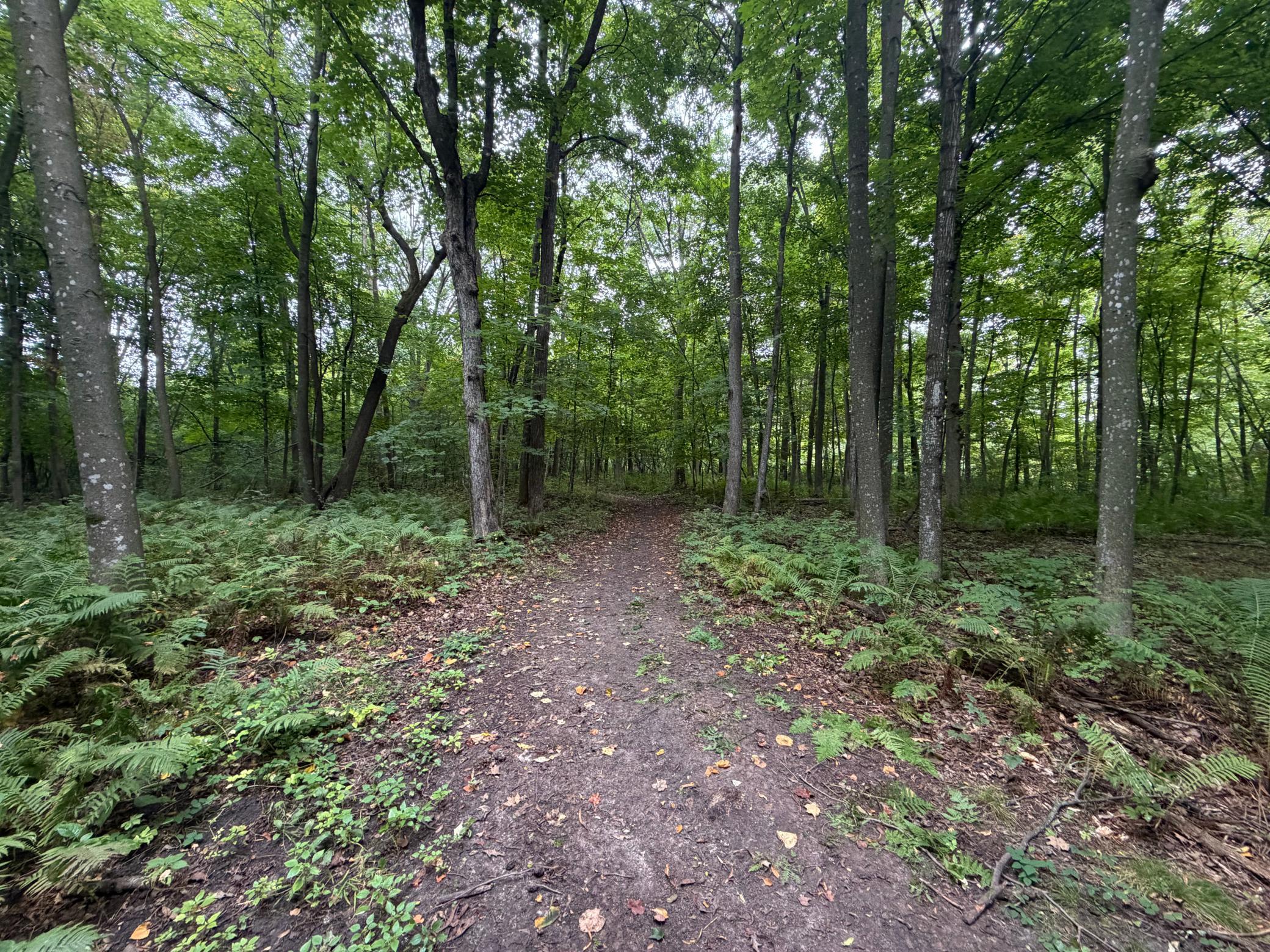 View of Land at XXX County Road 12, Princeton MN 55371, Princeton (38 of 67) - Mike Wilen | Minnesota Team Real Estate