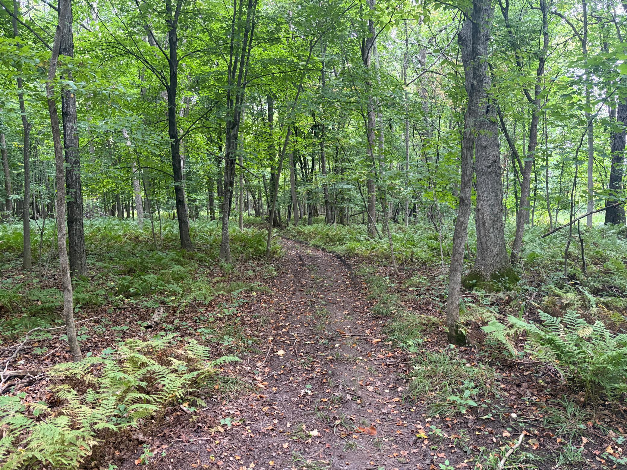 View of Land at XXX County Road 12, Princeton MN 55371, Princeton (37 of 67) - Mike Wilen | Minnesota Team Real Estate