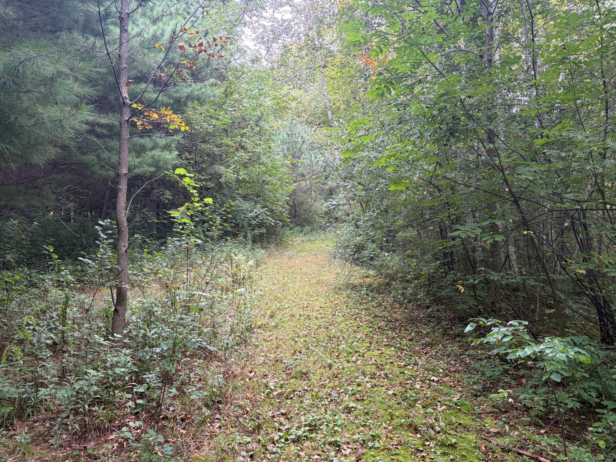 View of Land at XXX County Road 12, Princeton MN 55371, Princeton (35 of 67) - Mike Wilen | Minnesota Team Real Estate