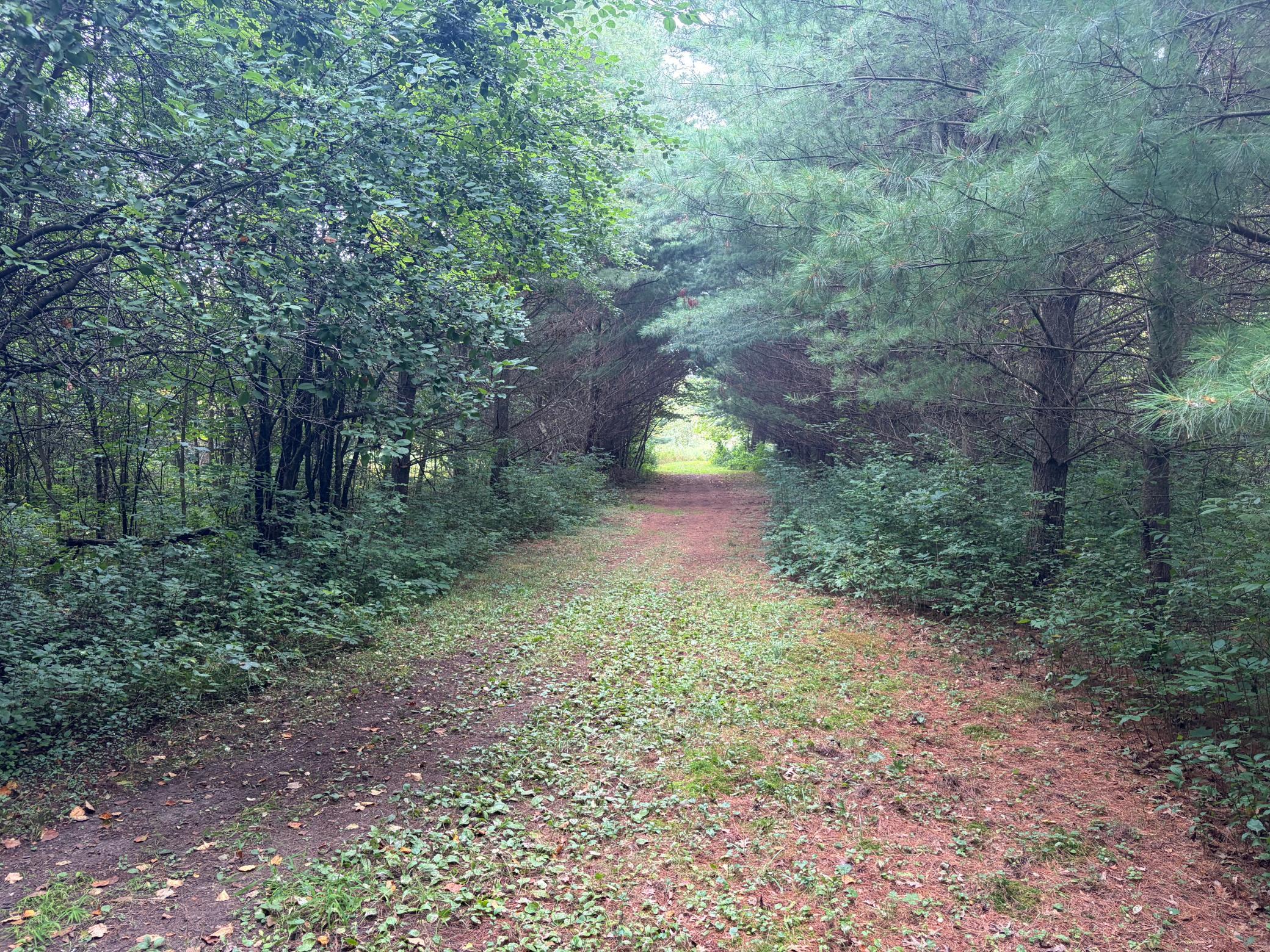 View of Land at XXX County Road 12, Princeton MN 55371, Princeton (33 of 67) - Mike Wilen | Minnesota Team Real Estate