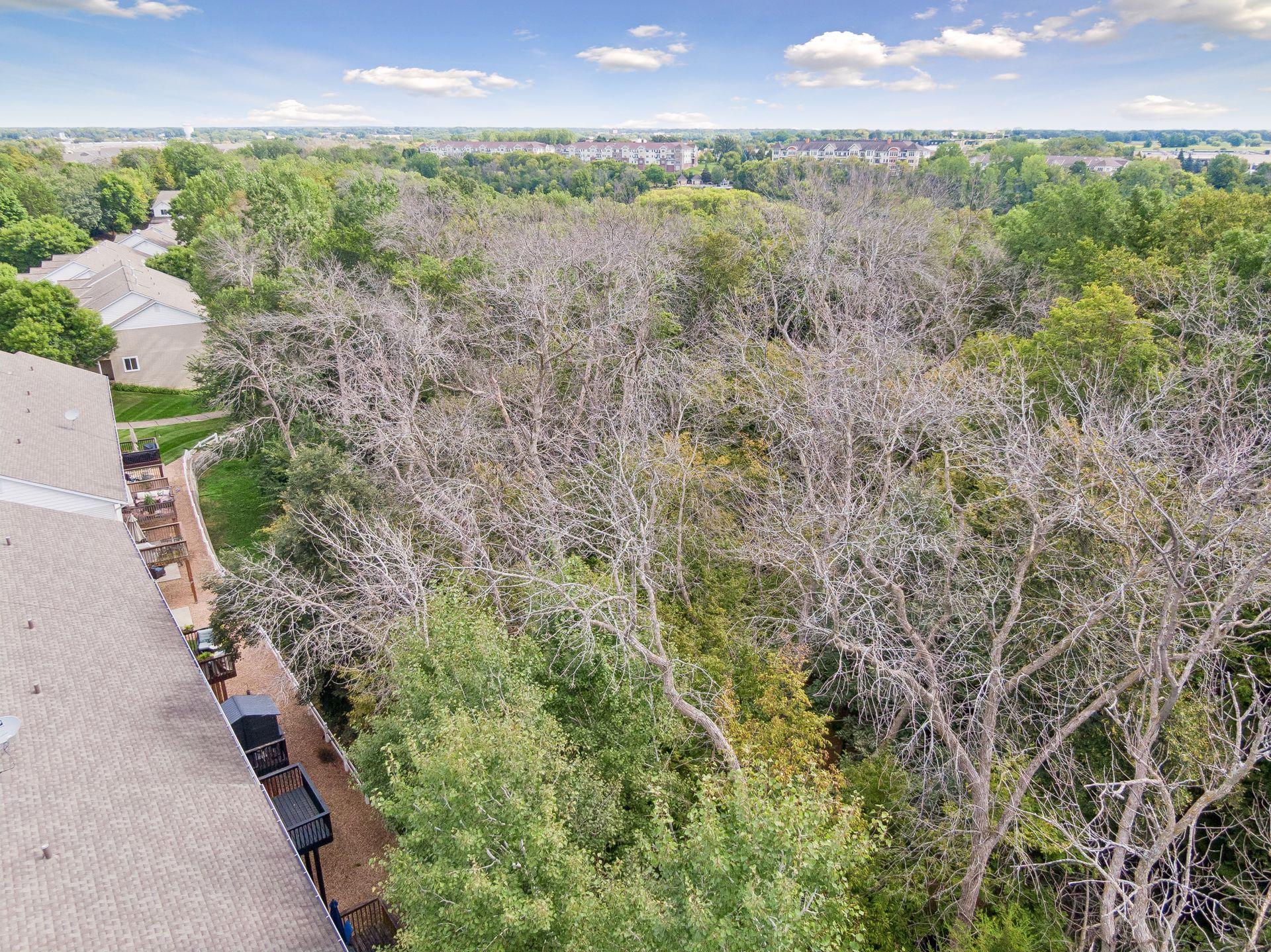 View of Residential at 441 Pleasant Lane, Chaska MN 55318, Chaska (51 of 75) - Mike Wilen | Minnesota Team Real Estate