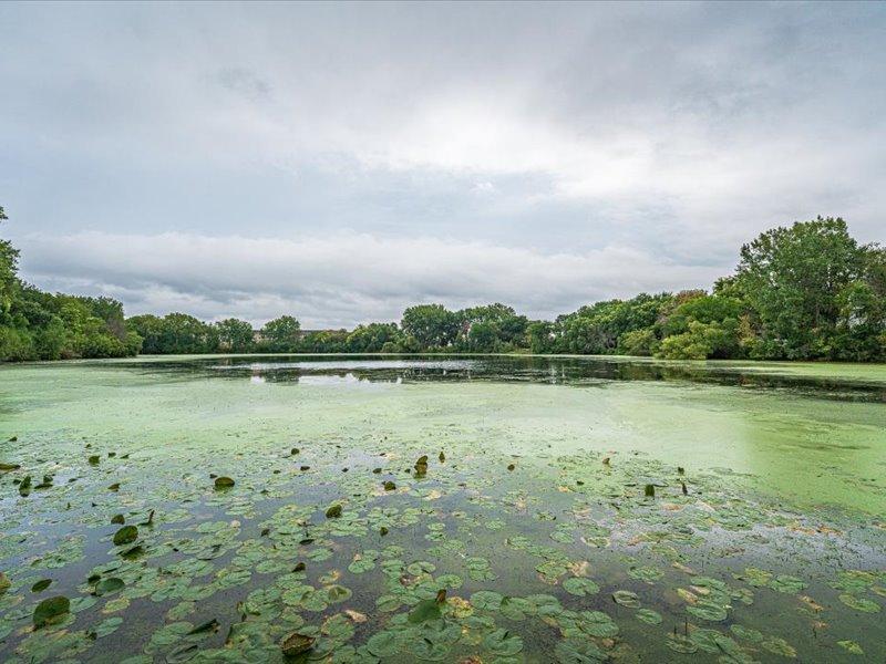 View of Residential at 1491 Summit Shores Drive, Burnsville MN 55306, Burnsville (54 of 56) - Mike Wilen | Minnesota Team Real Estate