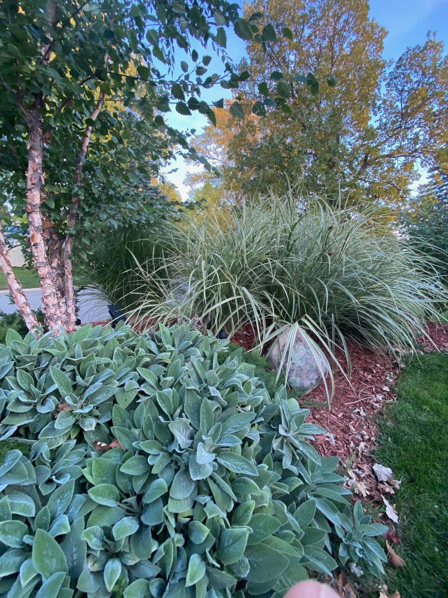 View of Residential at 6400 Mildred Avenue, Edina MN 55439, Edina (64 of 86) - Mike Wilen | Minnesota Team Real Estate
