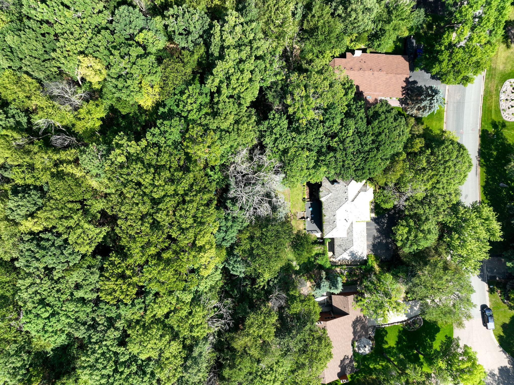 View of Residential at 4905 Safari Court, Eagan MN 55122, Eagan (42 of 47) - Mike Wilen | Minnesota Team Real Estate