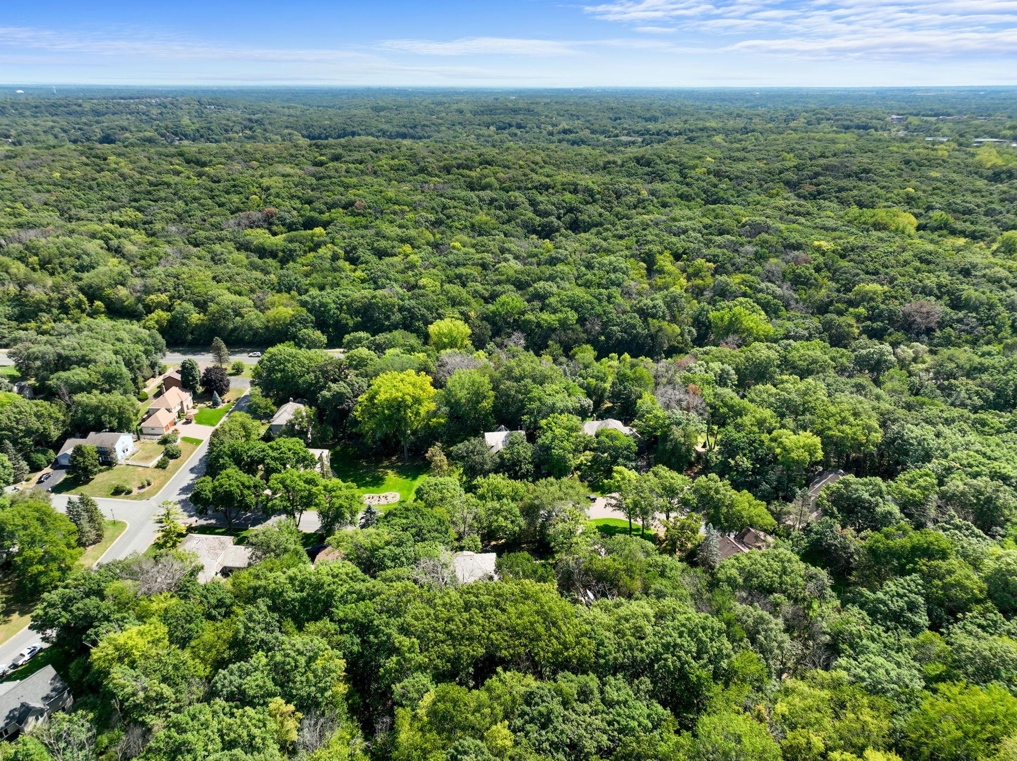 View of Residential at 4905 Safari Court, Eagan MN 55122, Eagan (41 of 47) - Mike Wilen | Minnesota Team Real Estate