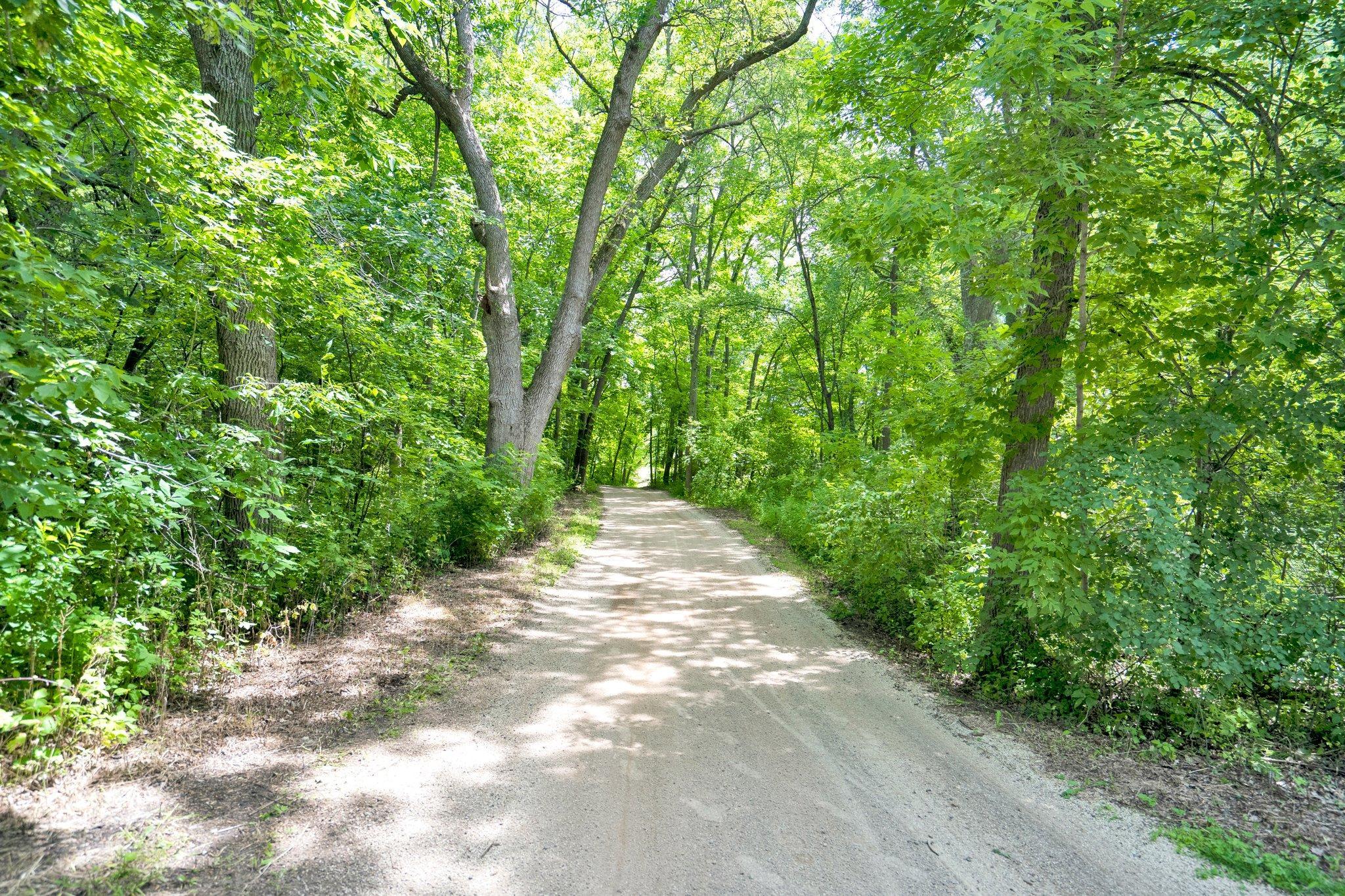 View of Residential at 908 Big Woods Drive, Delano MN 55328, Delano (74 of 99) - Mike Wilen | Minnesota Team Real Estate