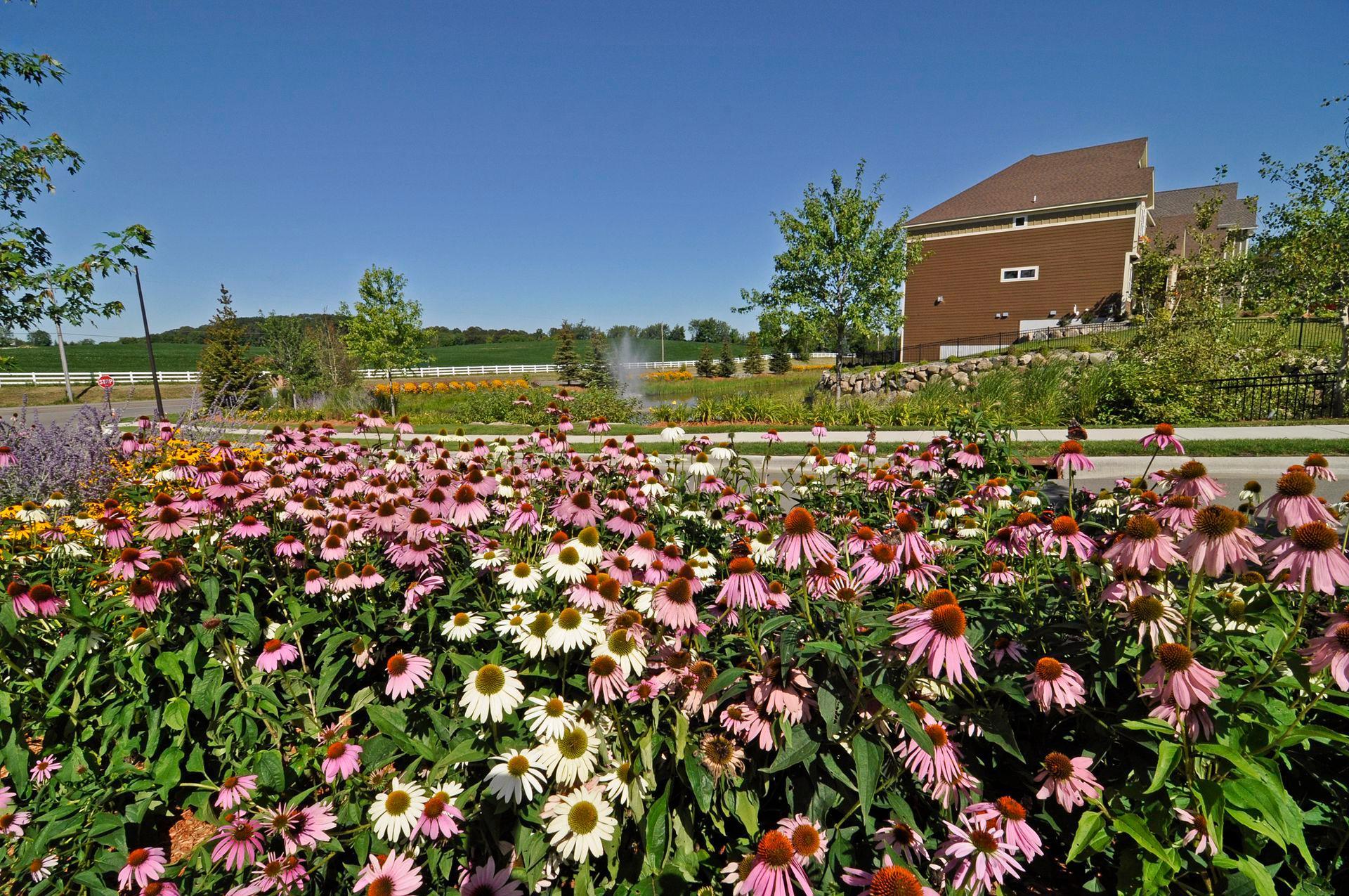 View of Residential at 15842 57th Place, Plymouth MN 55446, Plymouth (74 of 75) - Mike Wilen | Minnesota Team Real Estate