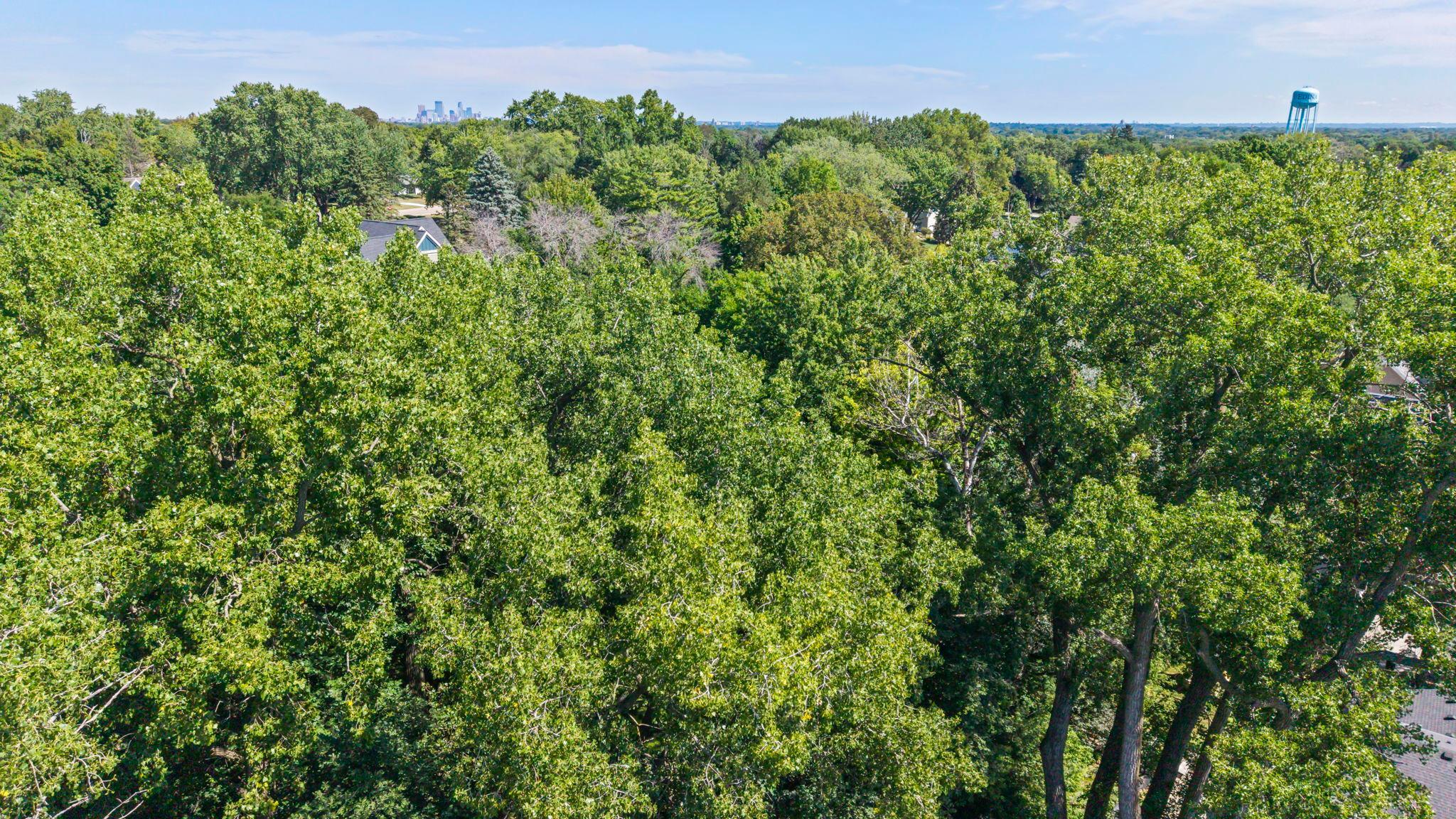 View of Residential at 5916 Code Avenue, Edina MN 55436, Edina (43 of 48) - Mike Wilen | Minnesota Team Real Estate