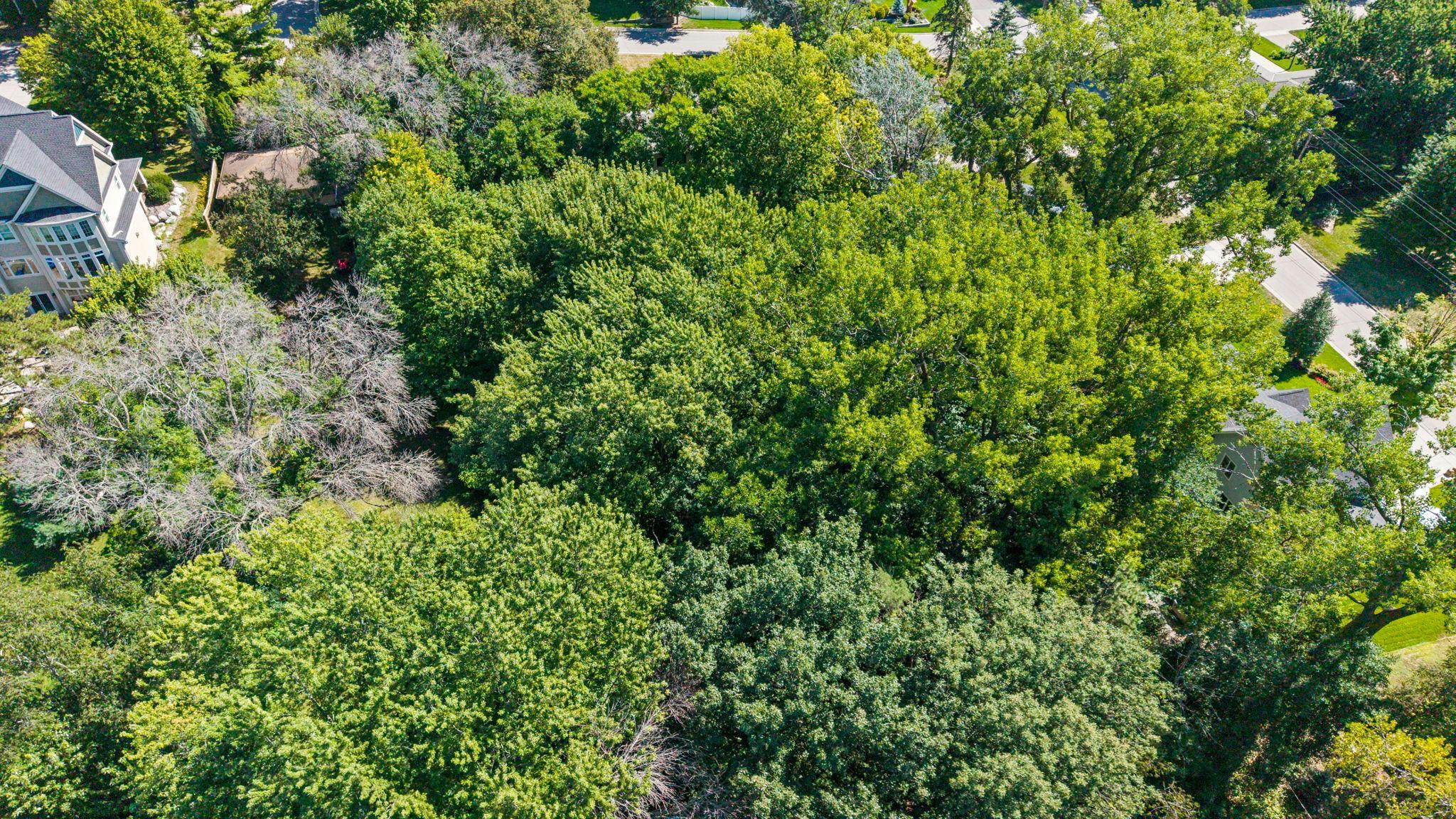 View of Residential at 5916 Code Avenue, Edina MN 55436, Edina (41 of 48) - Mike Wilen | Minnesota Team Real Estate
