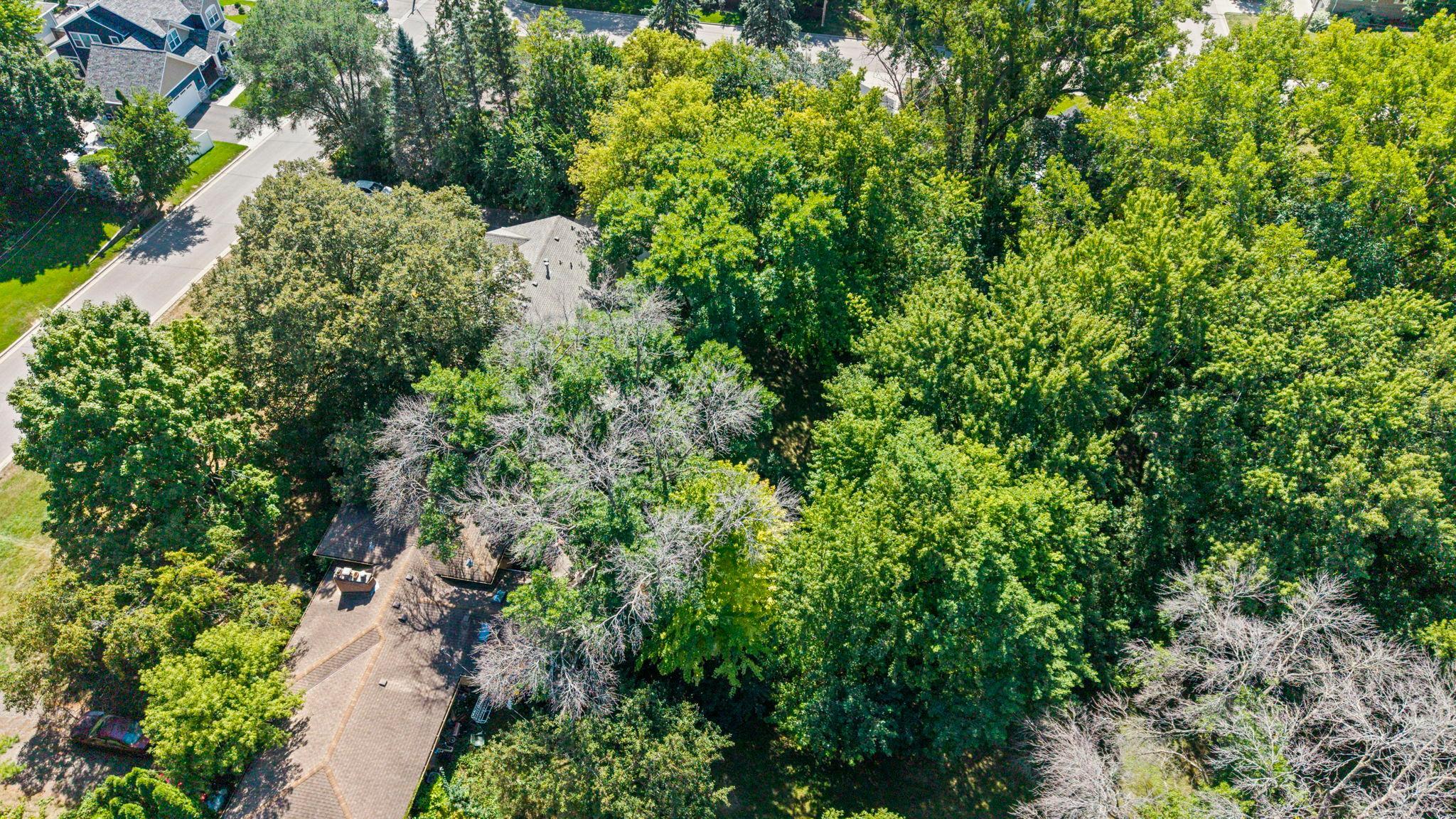 View of Residential at 5916 Code Avenue, Edina MN 55436, Edina (40 of 48) - Mike Wilen | Minnesota Team Real Estate