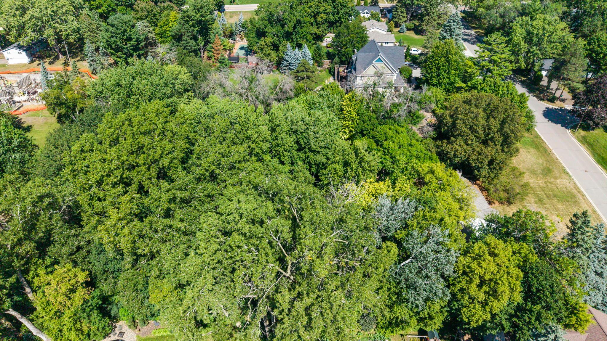 View of Residential at 5916 Code Avenue, Edina MN 55436, Edina (39 of 48) - Mike Wilen | Minnesota Team Real Estate