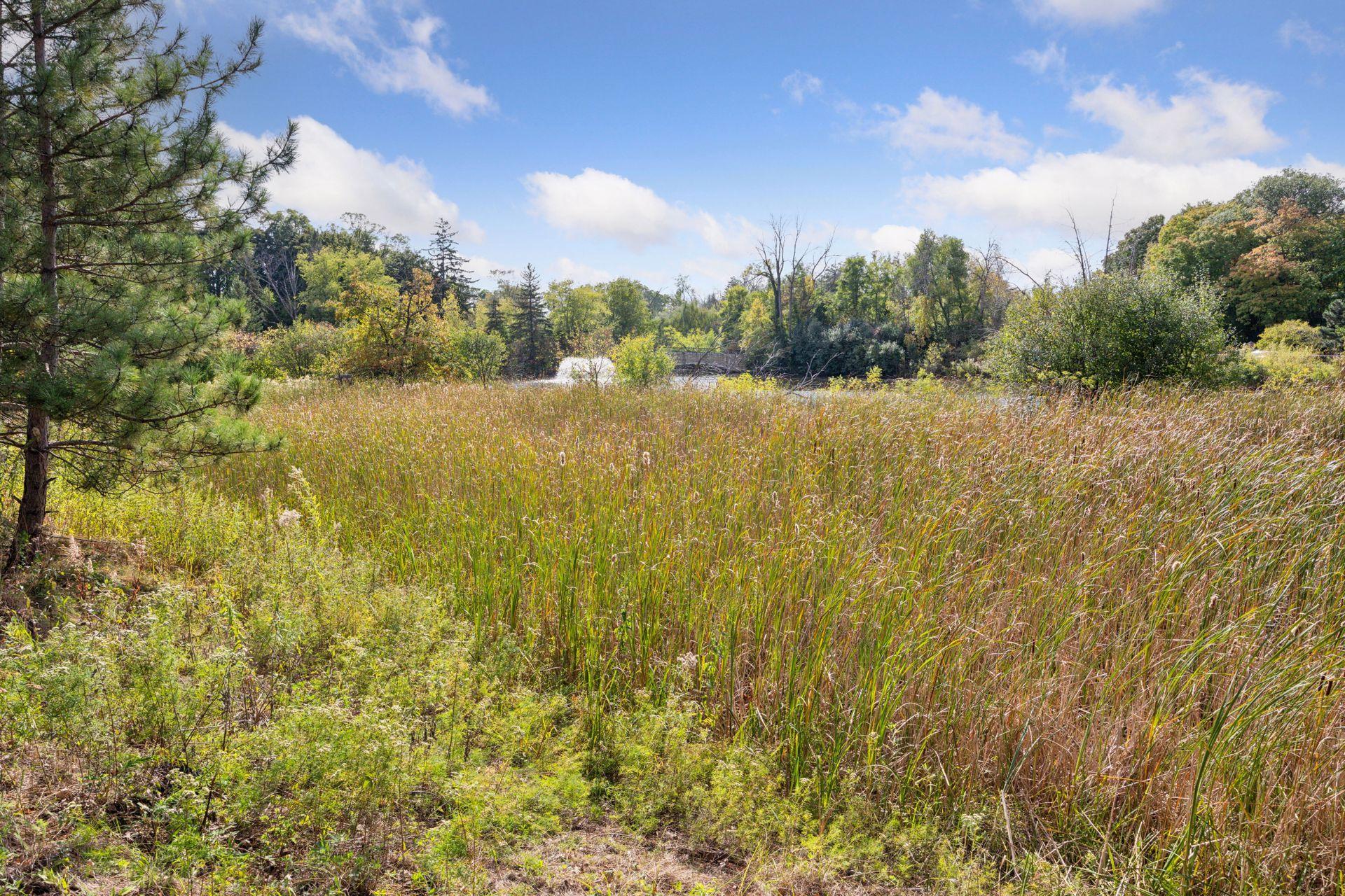 View of Residential at 425 Carpenters Point, Wayzata MN 55391, Wayzata (94 of 106) - Mike Wilen | Minnesota Team Real Estate