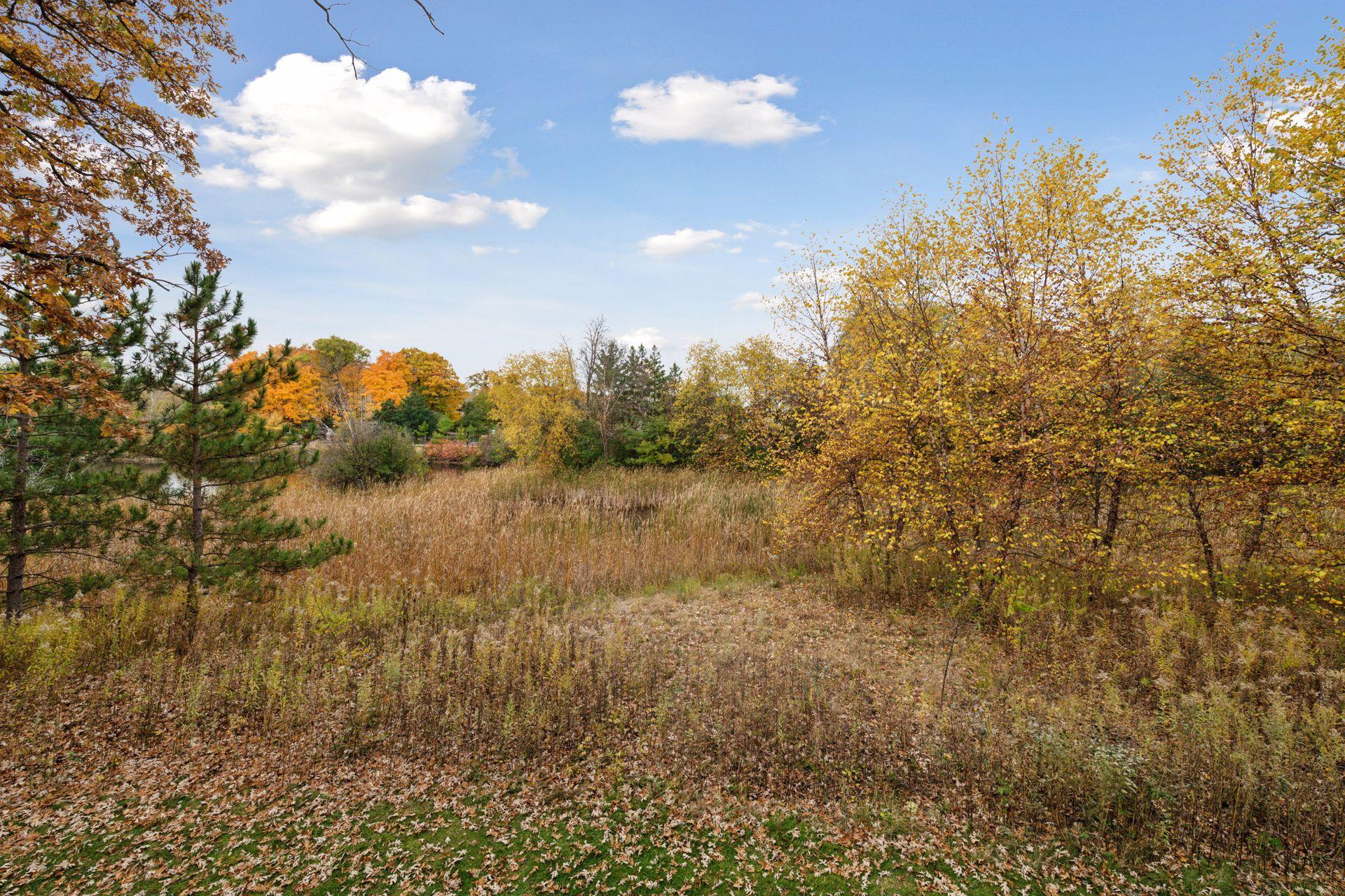 View of Residential at 425 Carpenters Point, Wayzata MN 55391, Wayzata (96 of 106) - Mike Wilen | Minnesota Team Real Estate