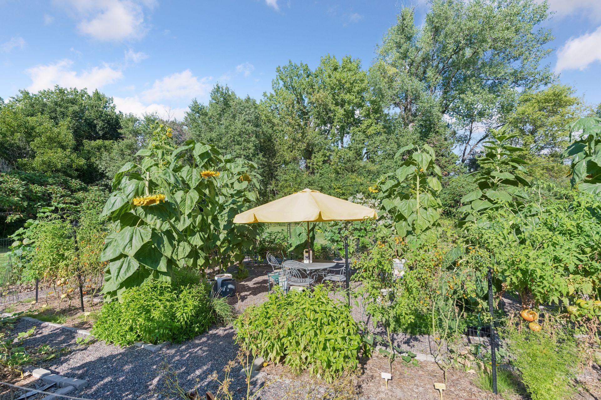 View of Residential at 330 Peavey Road, Wayzata MN 55391, Wayzata (62 of 67) - Mike Wilen | Minnesota Team Real Estate