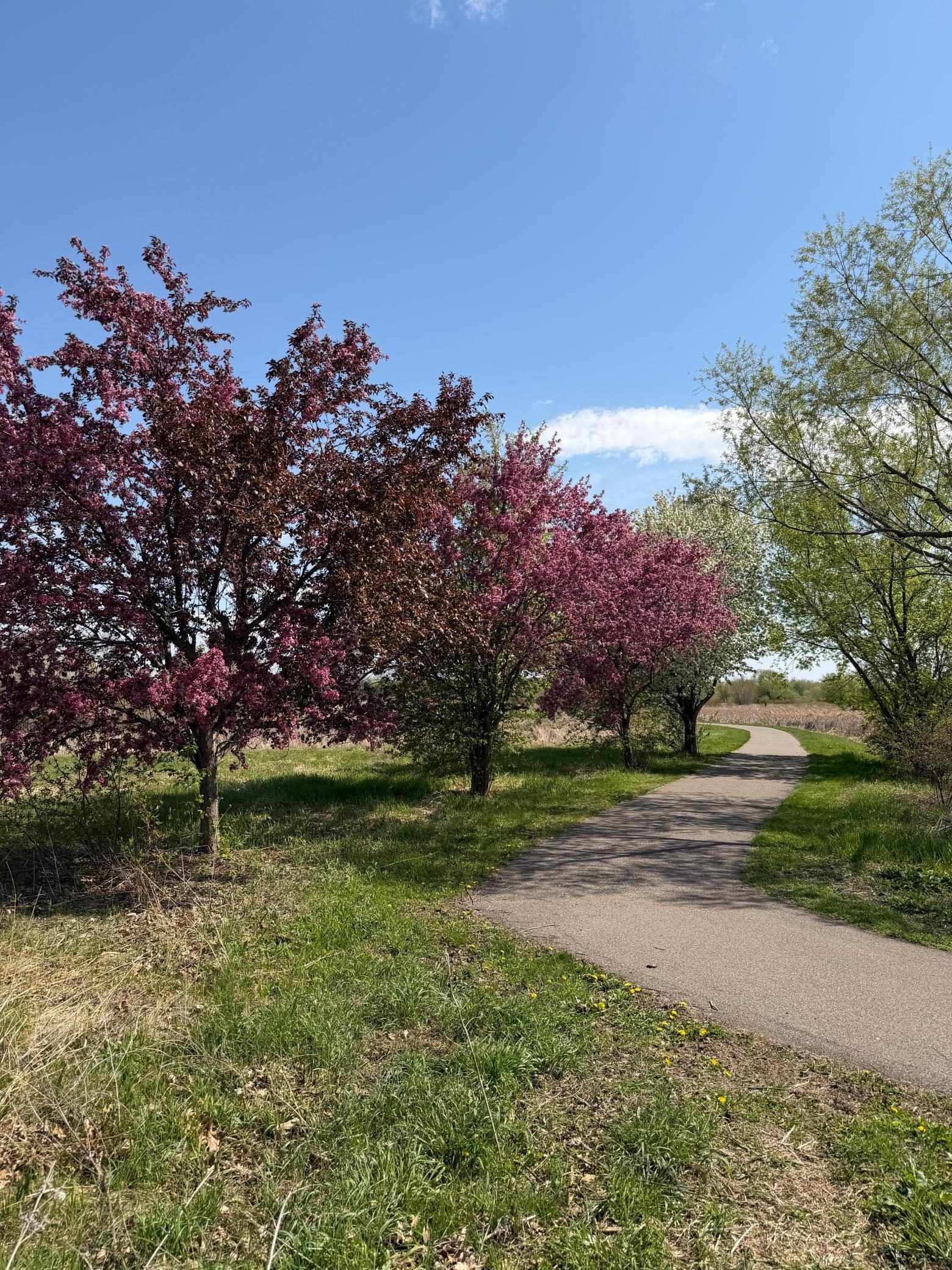 View of Residential at 1727 Spruce Street, Farmington MN 55024, Farmington (24 of 33) - Mike Wilen | Minnesota Team Real Estate