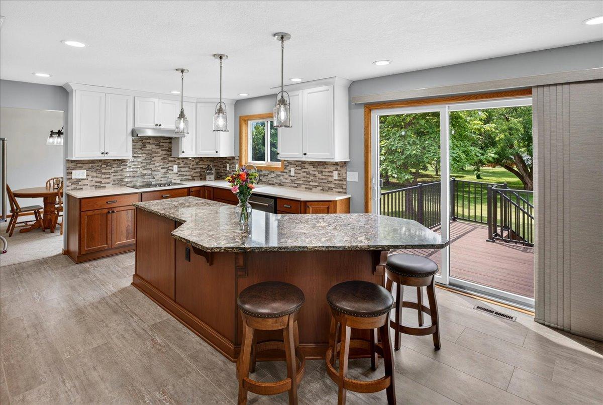 View of Residential at 6592 295th Street, Cannon Falls MN 55009, Cannon Falls (10 of 54) - Mike Wilen | Minnesota Team Real Estate