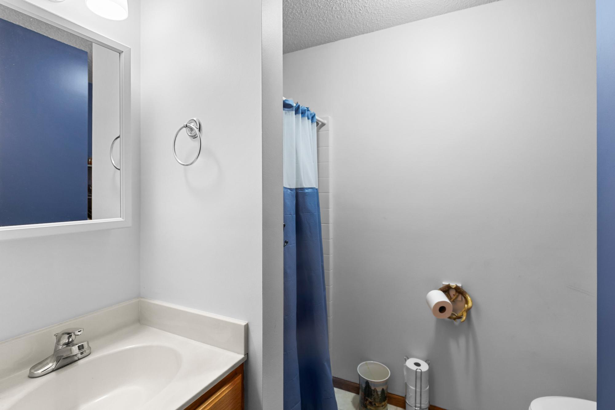 View of Residential at 379 Wheelock Parkway, Saint Paul MN 55130, Saint Paul (26 of 33) - Mike Wilen | Minnesota Team Real Estate