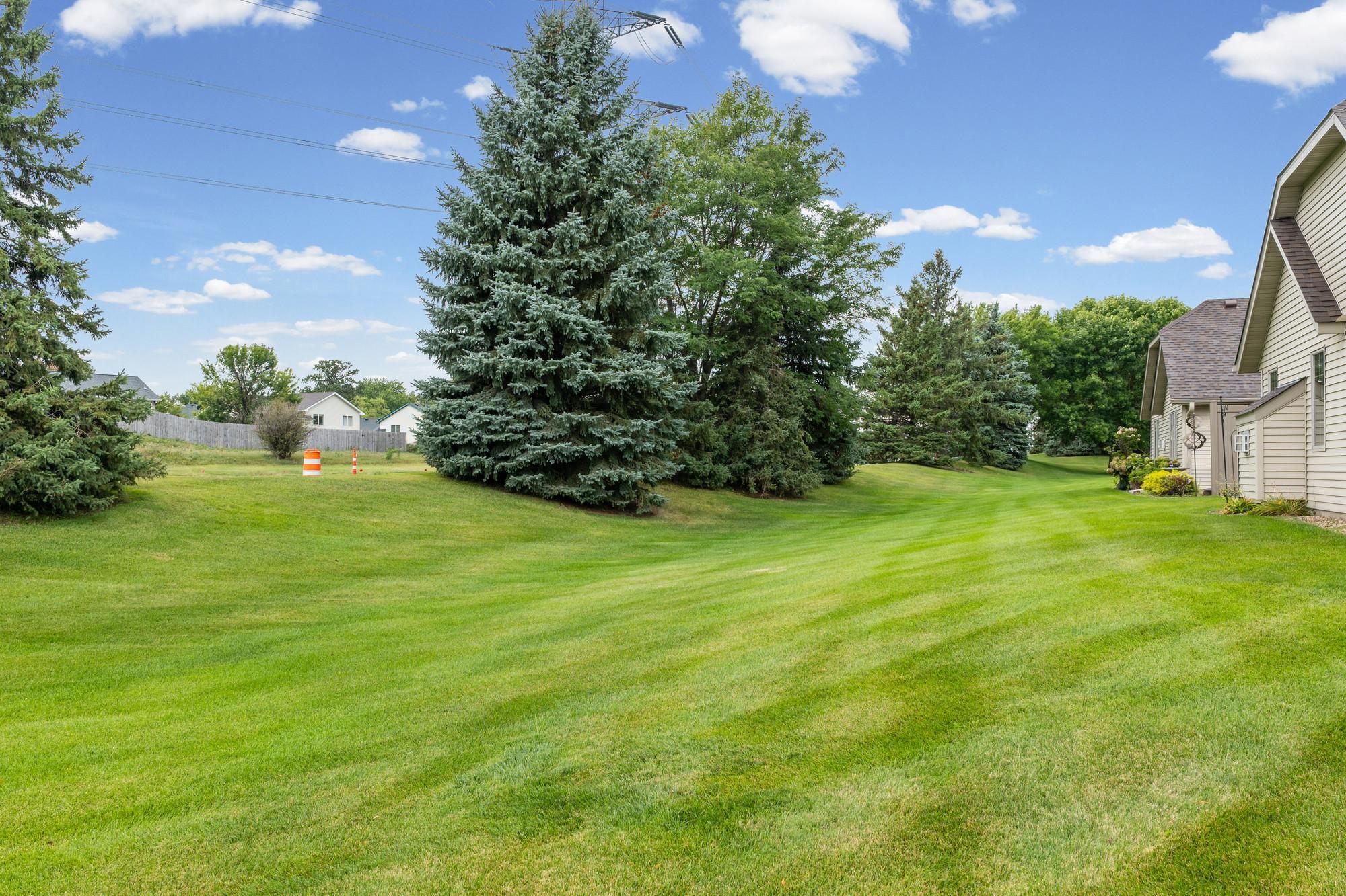 View of Residential at 3801 Impatiens Lane, Brooklyn Park MN 55443, Brooklyn Park (40 of 47) - Mike Wilen | Minnesota Team Real Estate