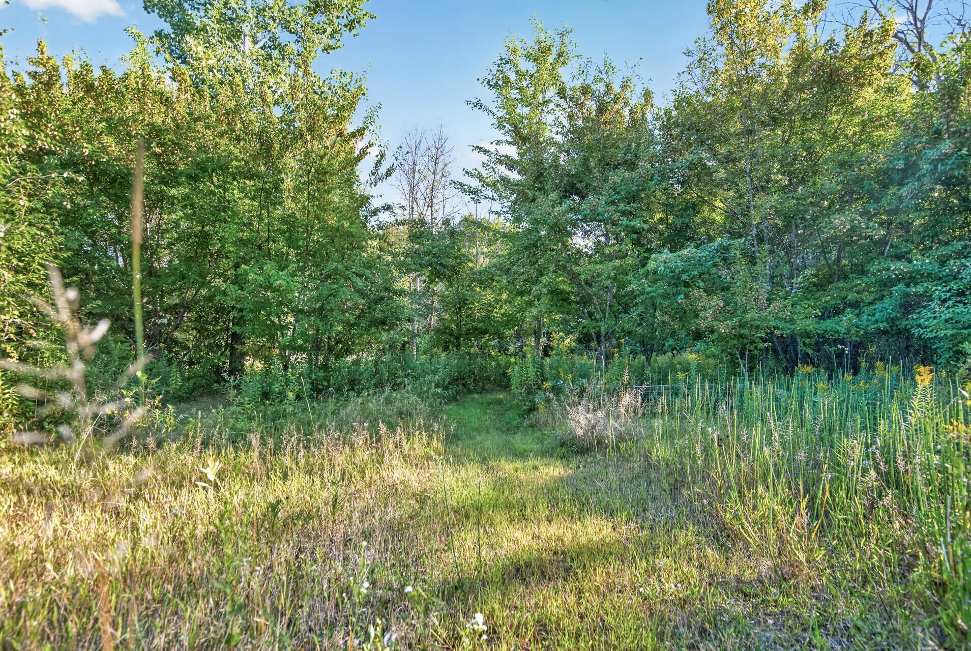 View of Residential at 21245 Gypsy Valley Road, Nowthen MN 55303, Nowthen (59 of 62) - Mike Wilen | Minnesota Team Real Estate