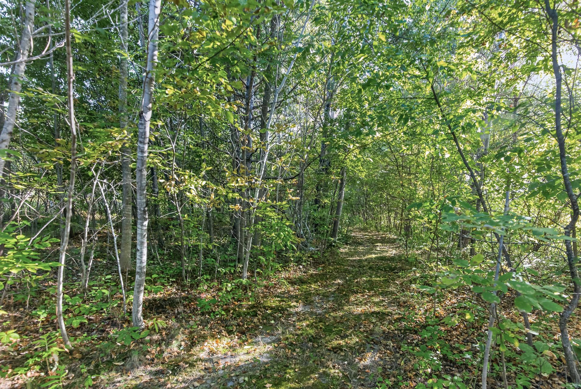 View of Residential at 21245 Gypsy Valley Road, Nowthen MN 55303, Nowthen (61 of 62) - Mike Wilen | Minnesota Team Real Estate