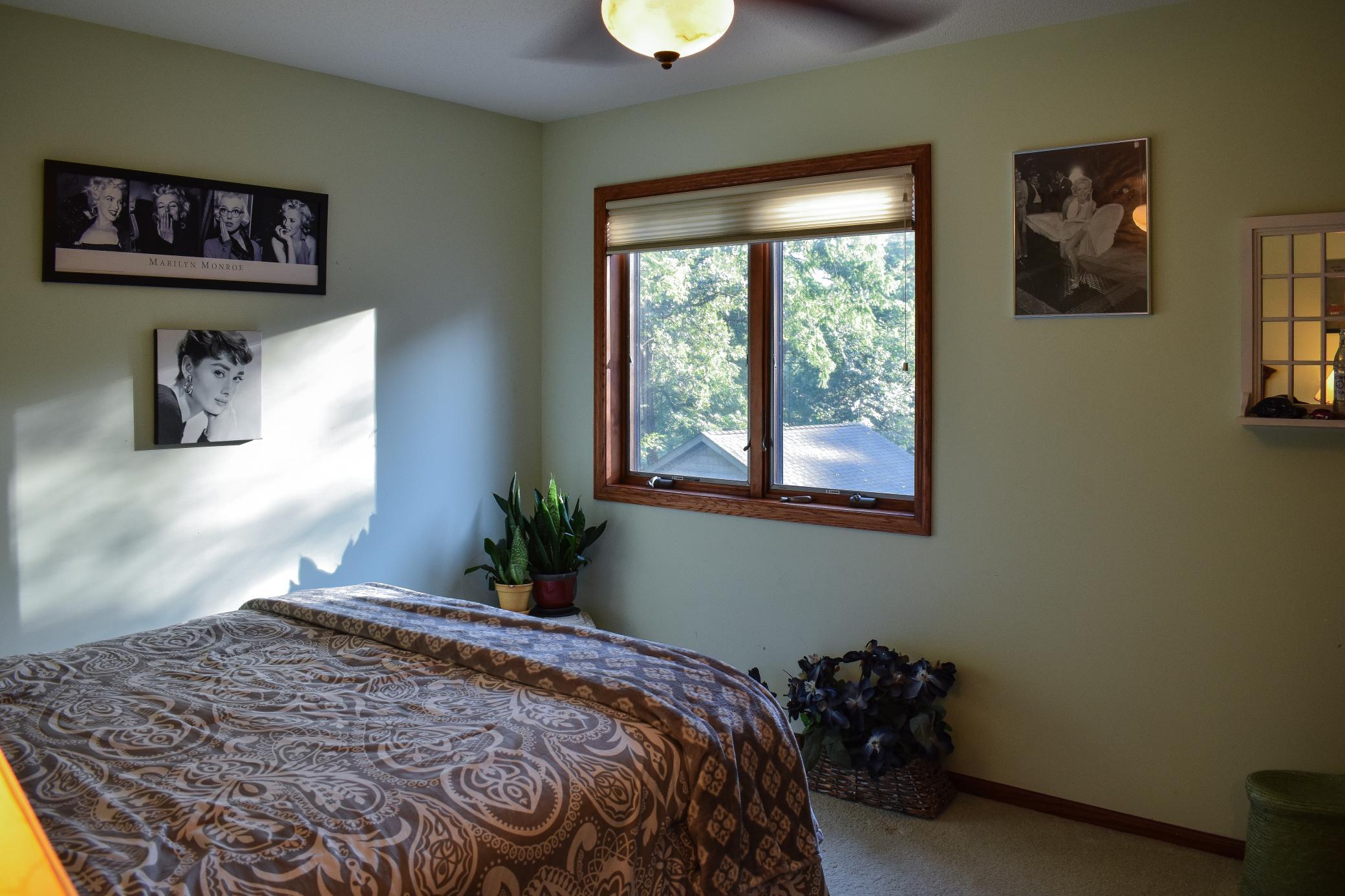 View of Residential at 17500 Blackbird Trail, Hastings MN 55033, Hastings (27 of 42) - Mike Wilen | Minnesota Team Real Estate