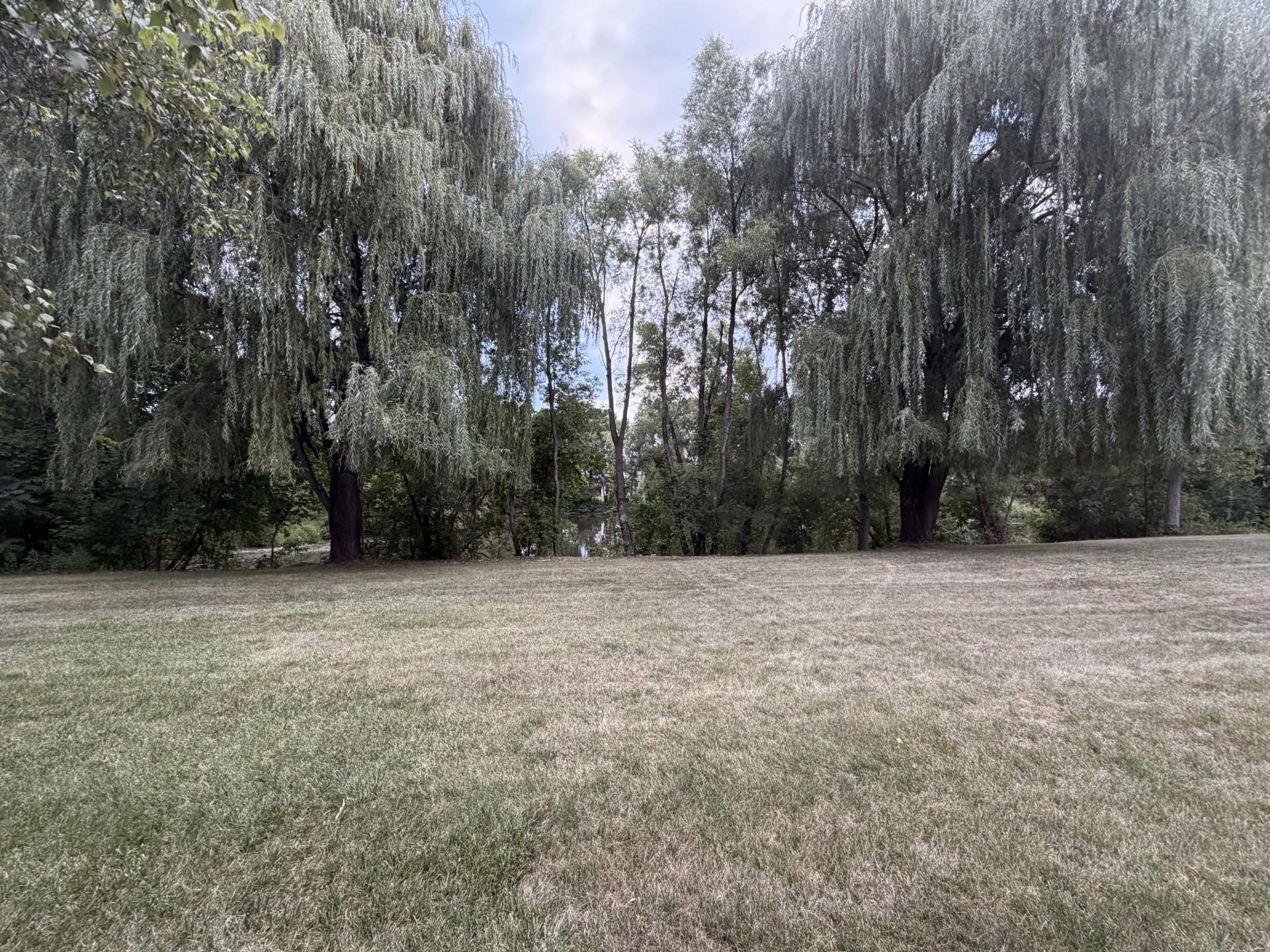 View of Residential at 22576 Amy Lane, Rogers MN 55374, Rogers (59 of 62) - Mike Wilen | Minnesota Team Real Estate