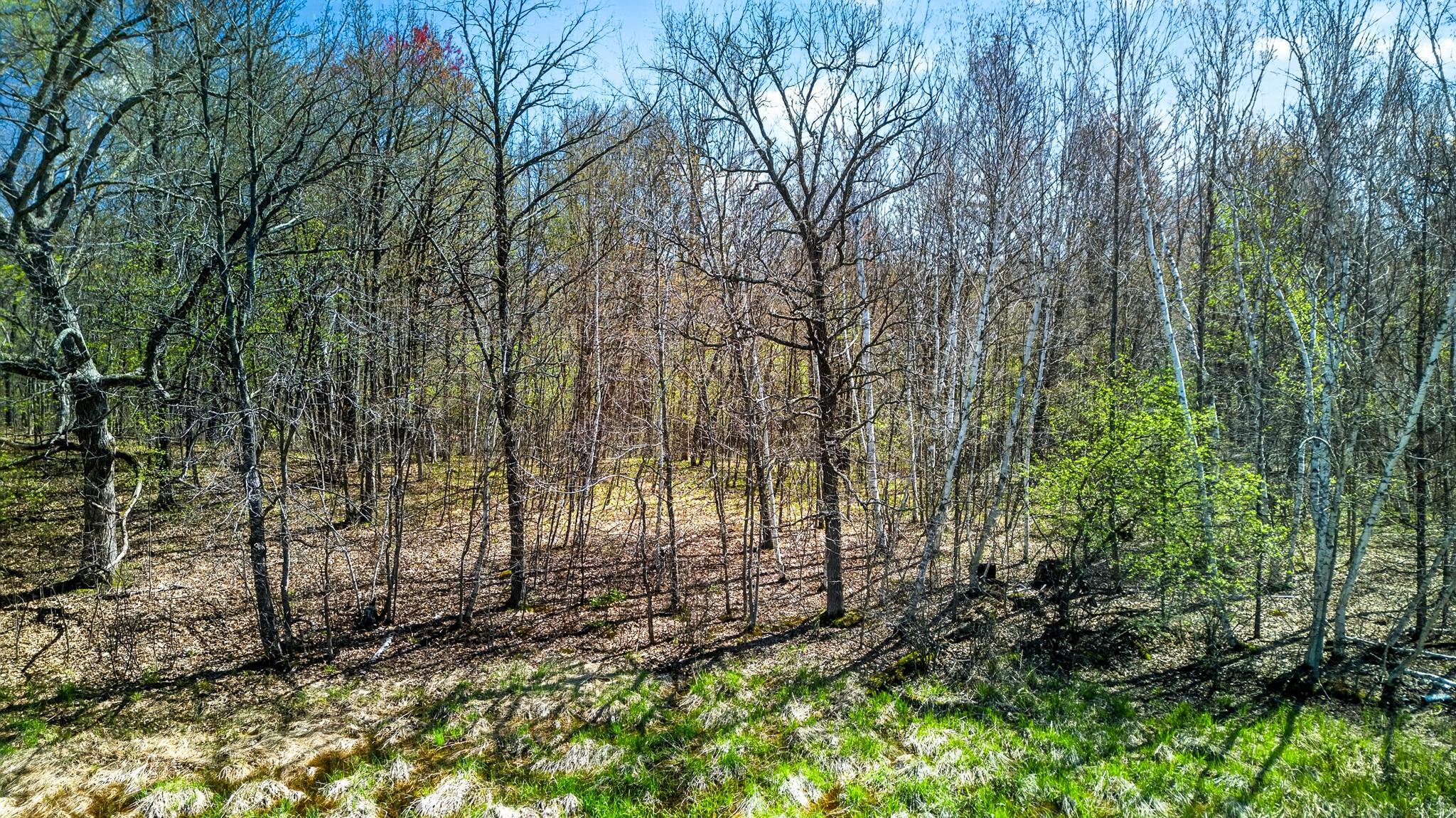 View of Land at Parcel 3 Grand Avenue, Harris MN 55032, Harris (6 of 7) - Mike Wilen | Minnesota Team Real Estate