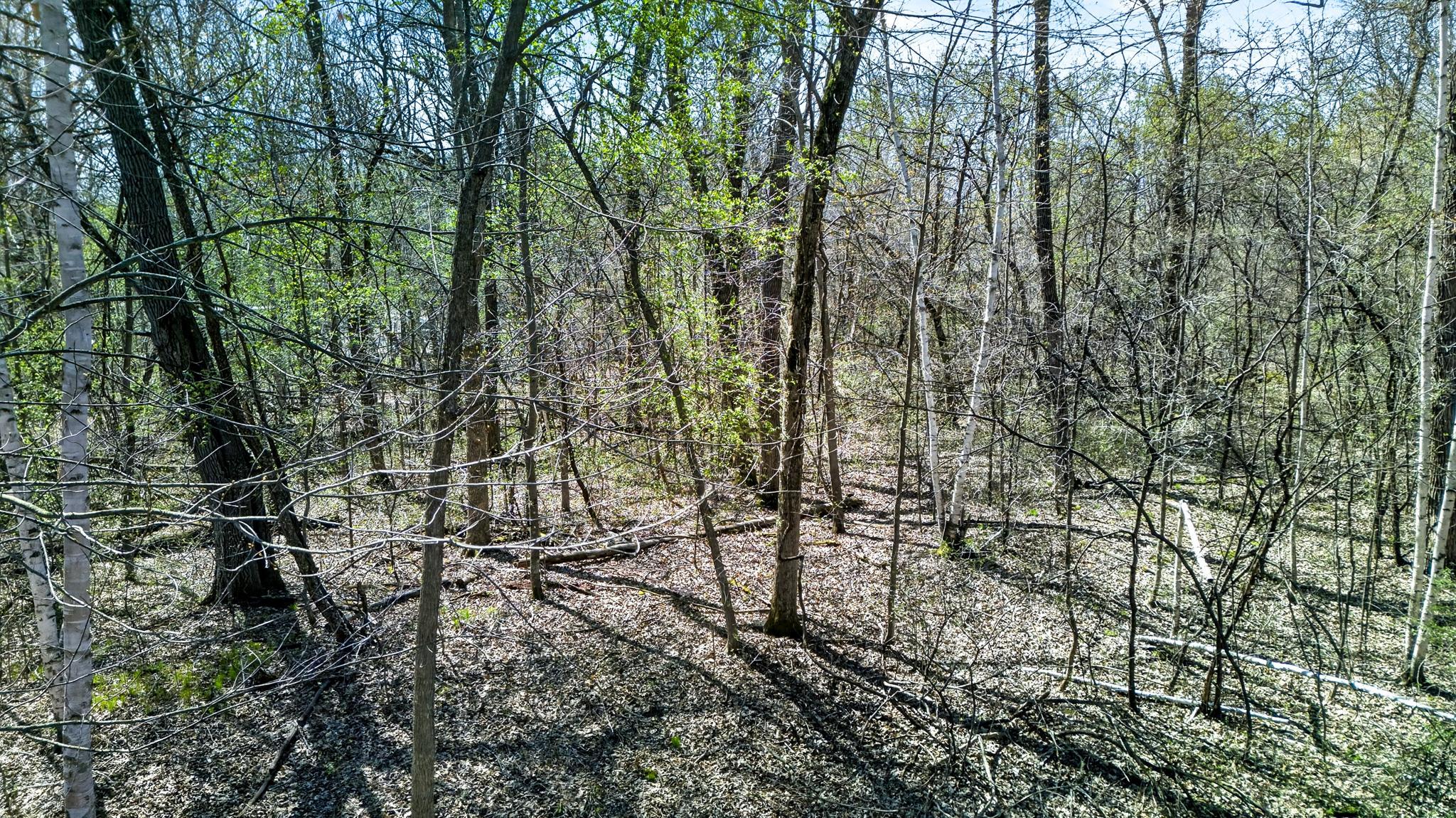 View of Land at Parcel 3 Grand Avenue, Harris MN 55032, Harris (5 of 7) - Mike Wilen | Minnesota Team Real Estate