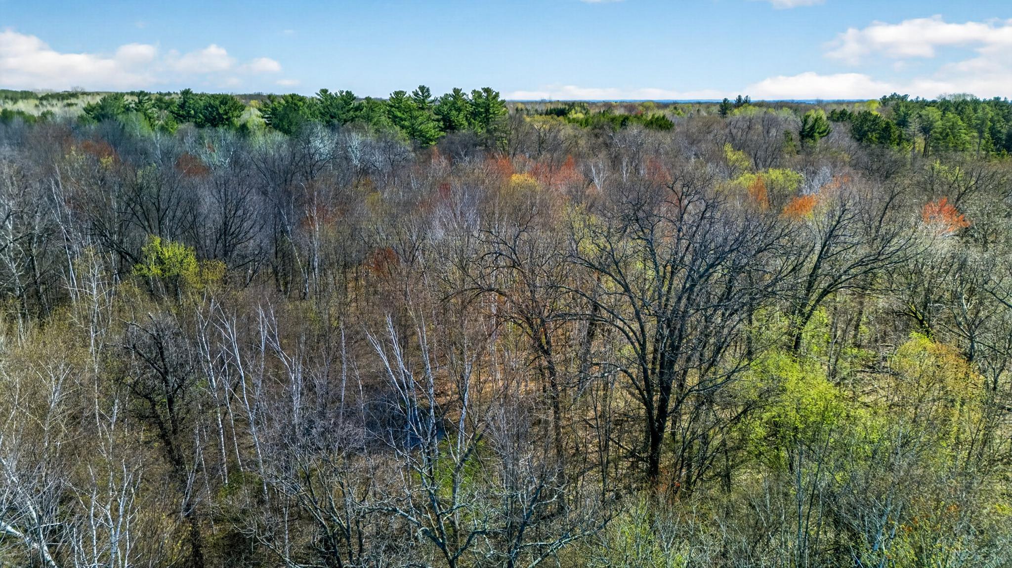 View of Land at Parcel 3 Grand Avenue, Harris MN 55032, Harris (4 of 7) - Mike Wilen | Minnesota Team Real Estate