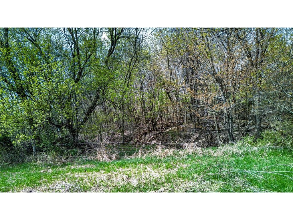 View of Residential at 45620 Grand Avenue, Harris MN 55032, Harris (44 of 45) - Mike Wilen | Minnesota Team Real Estate