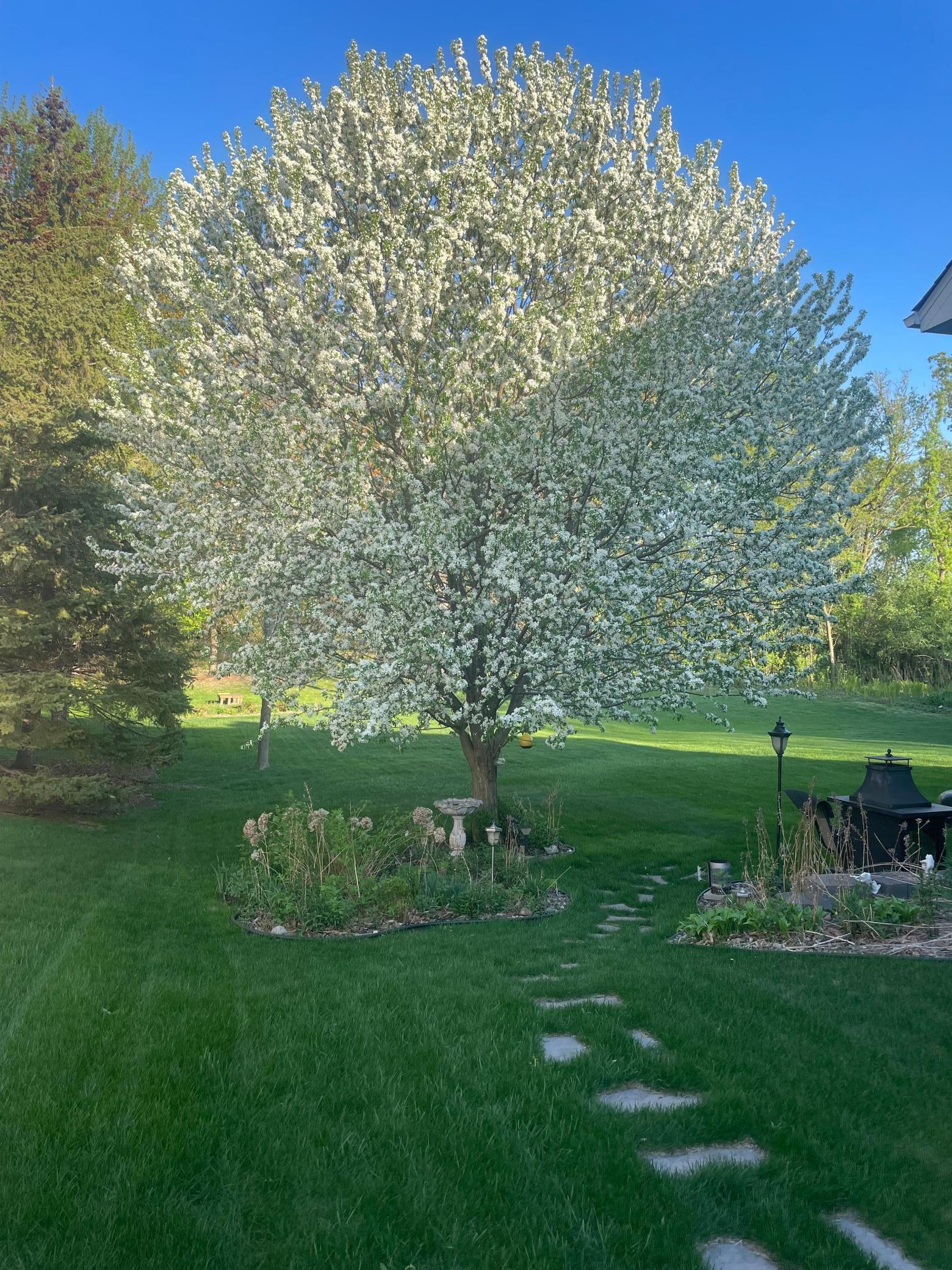 View of Residential at 6618 Wild Turkey Trail, Lino Lakes MN 55014, Lino Lakes (46 of 48) - Mike Wilen | Minnesota Team Real Estate