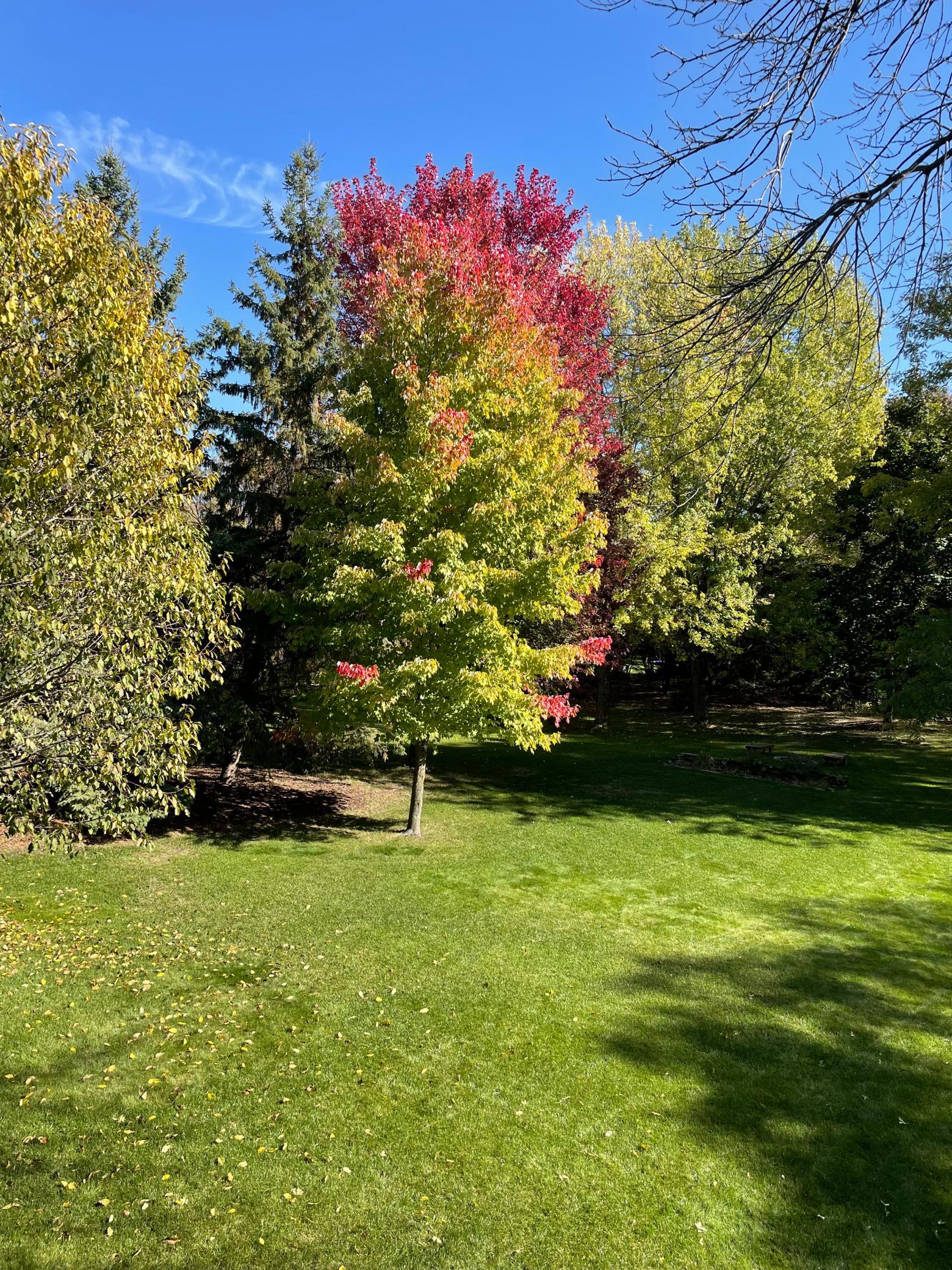 View of Residential at 6618 Wild Turkey Trail, Lino Lakes MN 55014, Lino Lakes (48 of 48) - Mike Wilen | Minnesota Team Real Estate