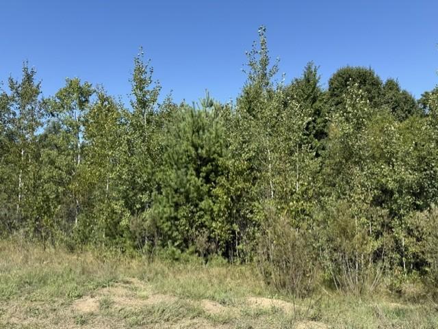 View of Land at TBD 241st Ave, Stacy MN 55079, Stacy (6 of 16) - Mike Wilen | Minnesota Team Real Estate
