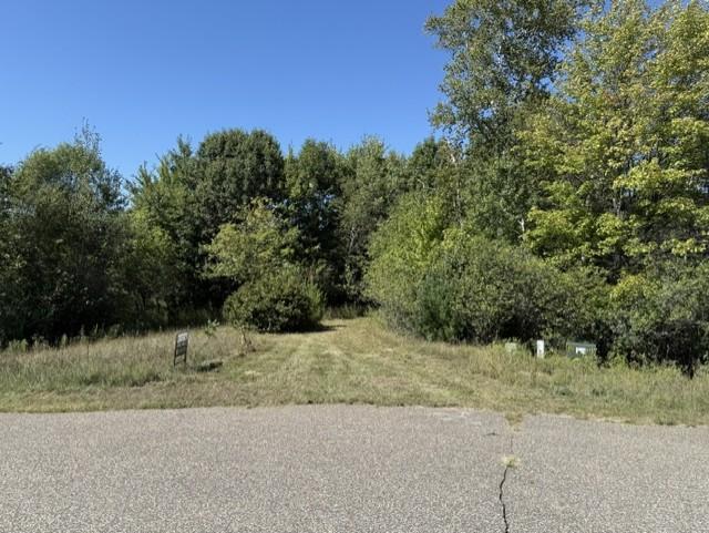 View of Land at TBD 241st Ave, Stacy MN 55079, Stacy (8 of 16) - Mike Wilen | Minnesota Team Real Estate