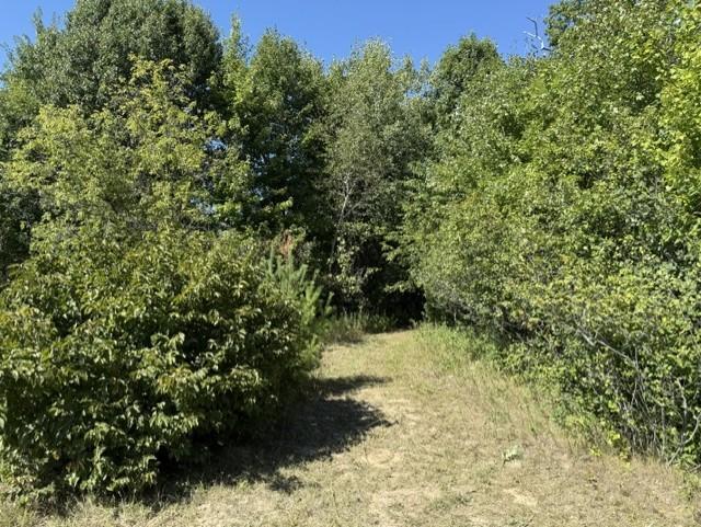 View of Land at TBD 241st Ave, Stacy MN 55079, Stacy (9 of 16) - Mike Wilen | Minnesota Team Real Estate