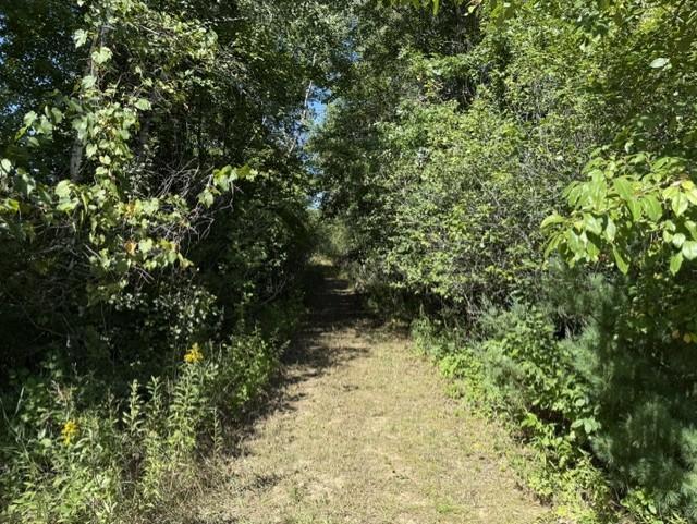 View of Land at TBD 241st Ave, Stacy MN 55079, Stacy (10 of 16) - Mike Wilen | Minnesota Team Real Estate