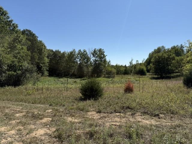 View of Land at TBD 241st Ave, Stacy MN 55079, Stacy (13 of 16) - Mike Wilen | Minnesota Team Real Estate