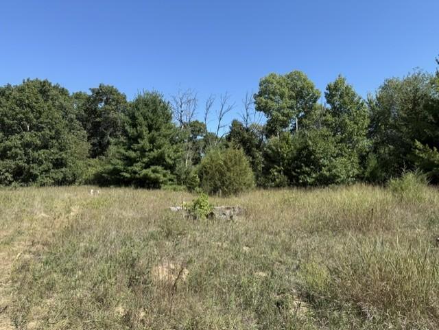 View of Land at TBD 241st Ave, Stacy MN 55079, Stacy (12 of 16) - Mike Wilen | Minnesota Team Real Estate