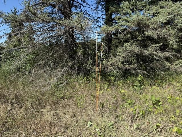 View of Land at TBD 241st Ave, Stacy MN 55079, Stacy (16 of 16) - Mike Wilen | Minnesota Team Real Estate
