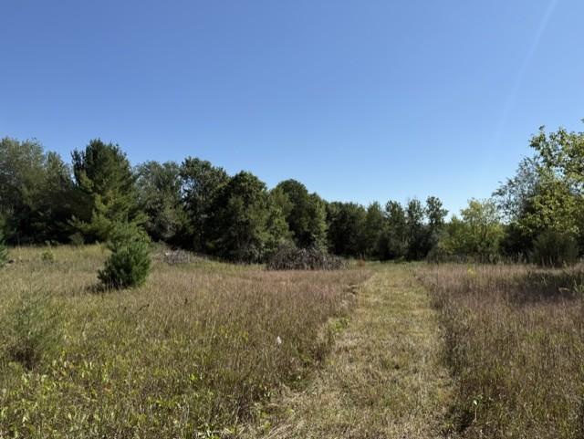 View of Land at TBD 241st Ave, Stacy MN 55079, Stacy (11 of 16) - Mike Wilen | Minnesota Team Real Estate