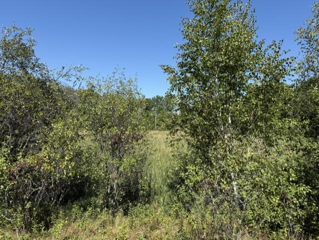 View of Land at TBD 241st Ave, Stacy MN 55079, Stacy (15 of 16) - Mike Wilen | Minnesota Team Real Estate