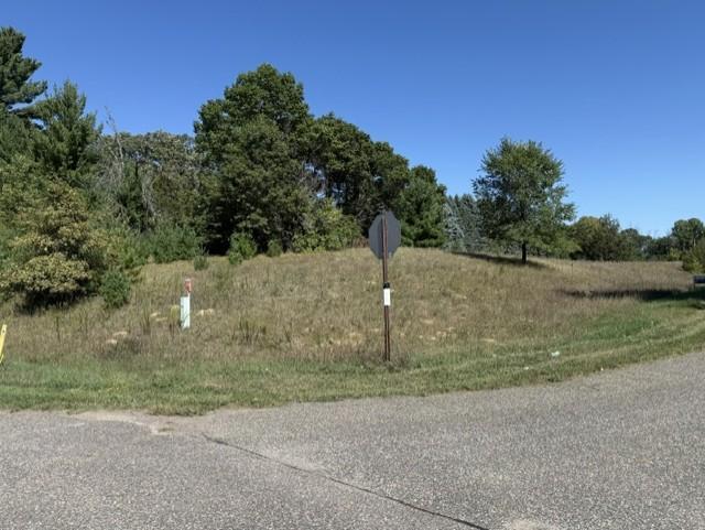 View of Land at 0000 241st Avenue, Stacy MN 55079, Stacy (4 of 14) - Mike Wilen | Minnesota Team Real Estate