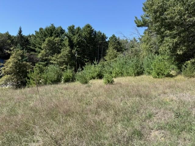 View of Land at 0000 241st Avenue, Stacy MN 55079, Stacy (11 of 14) - Mike Wilen | Minnesota Team Real Estate