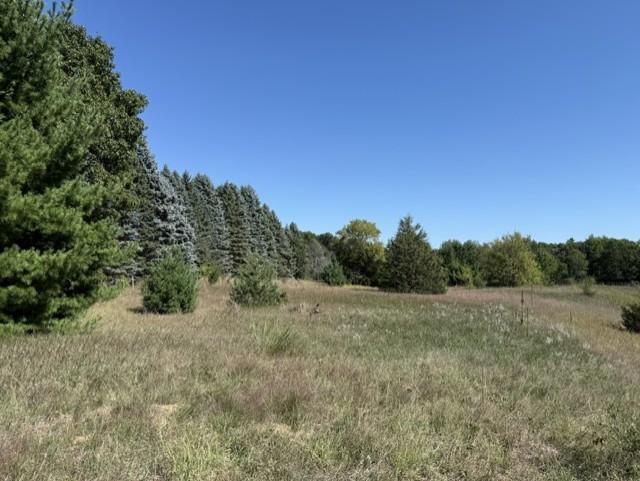 View of Land at 0000 241st Avenue, Stacy MN 55079, Stacy (8 of 14) - Mike Wilen | Minnesota Team Real Estate