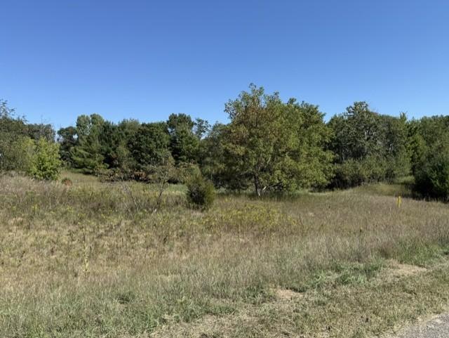 View of Land at 0000 241st Avenue, Stacy MN 55079, Stacy (10 of 14) - Mike Wilen | Minnesota Team Real Estate